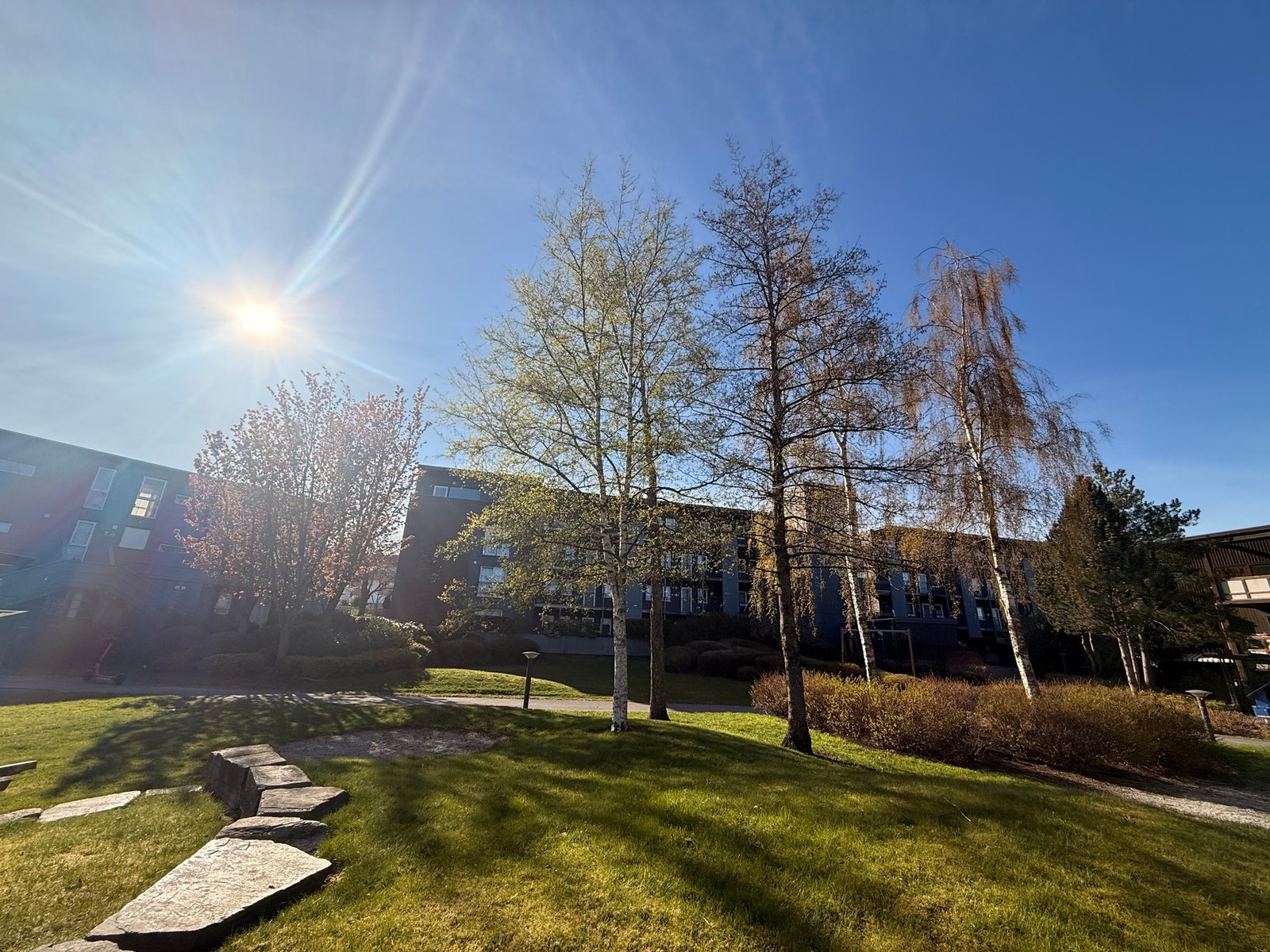 Barnevennlige omgivelser med grønne soner. Galleribilde