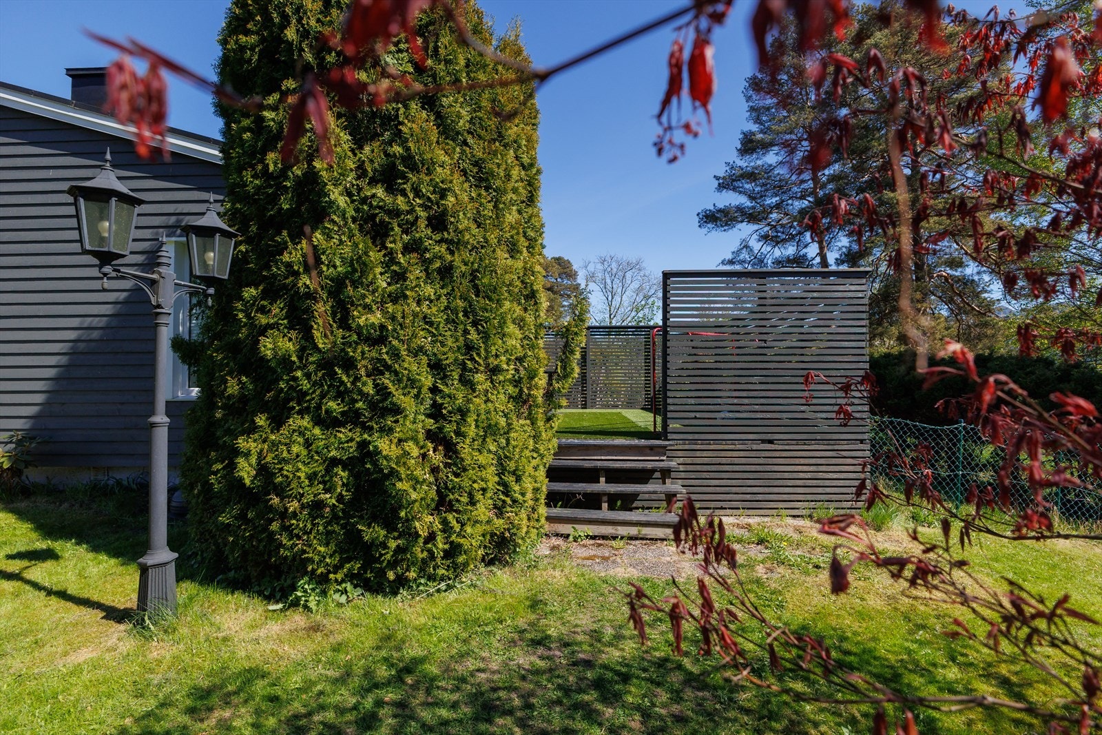 2P1A2598.jpg Galleribilde