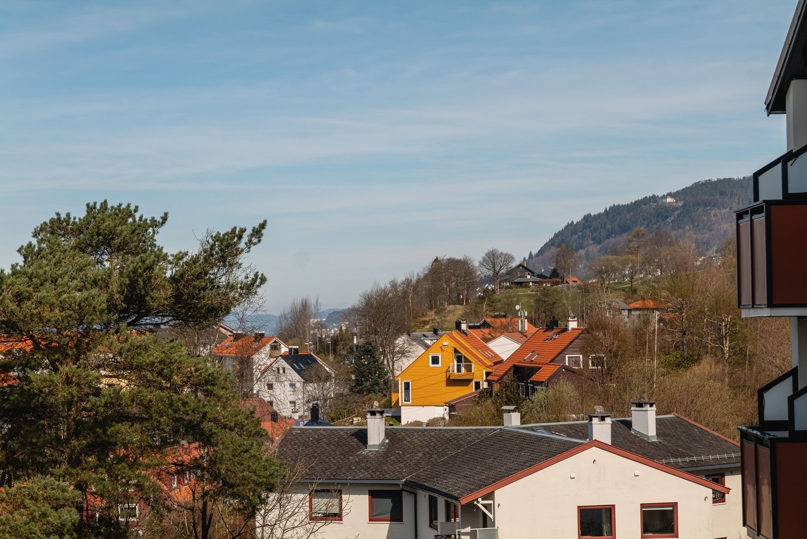Utsikt Galleribilde