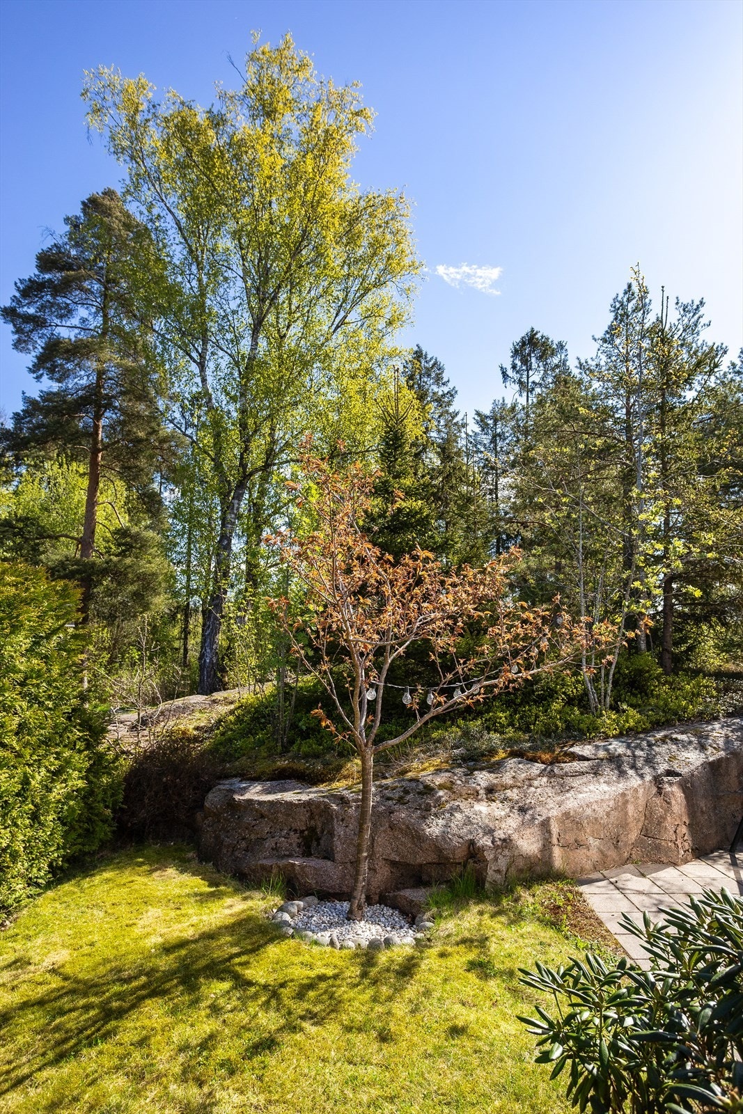 Tomten er pent opparbeidet med plen og beplantning som rammer inn eiendommen. Galleribilde