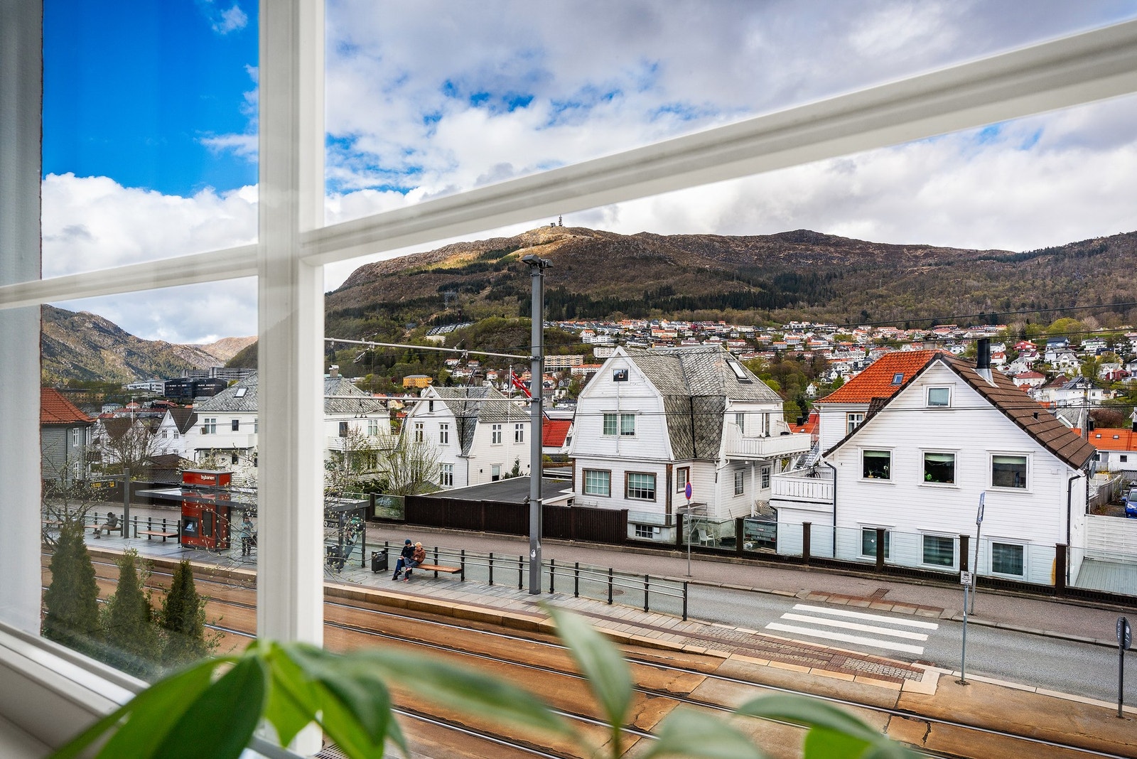 - Koselig utsikt - Galleribilde