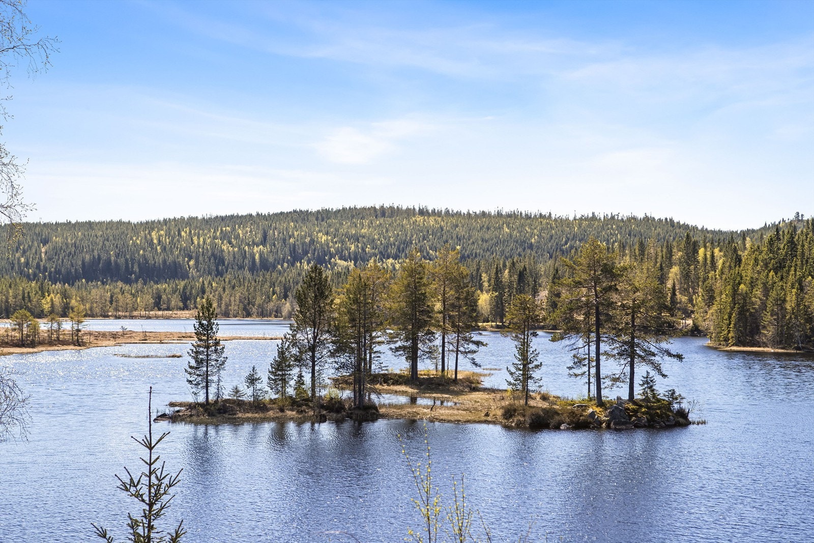 Landskapet er preget av skog og vann. Galleribilde