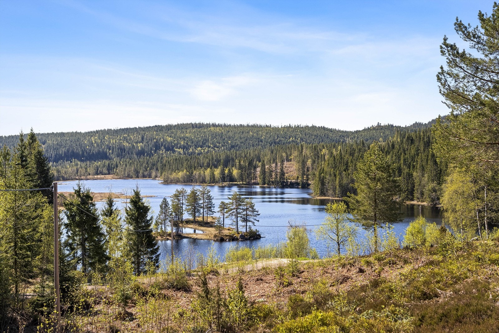 Breivann og de mange skogsvannene i området gir rike muligheter for friluftsliv. Galleribilde