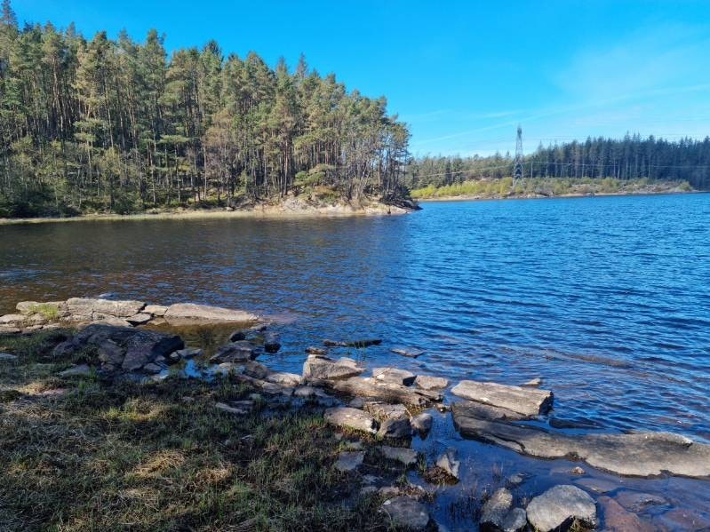 Bilde fra selger Galleribilde
