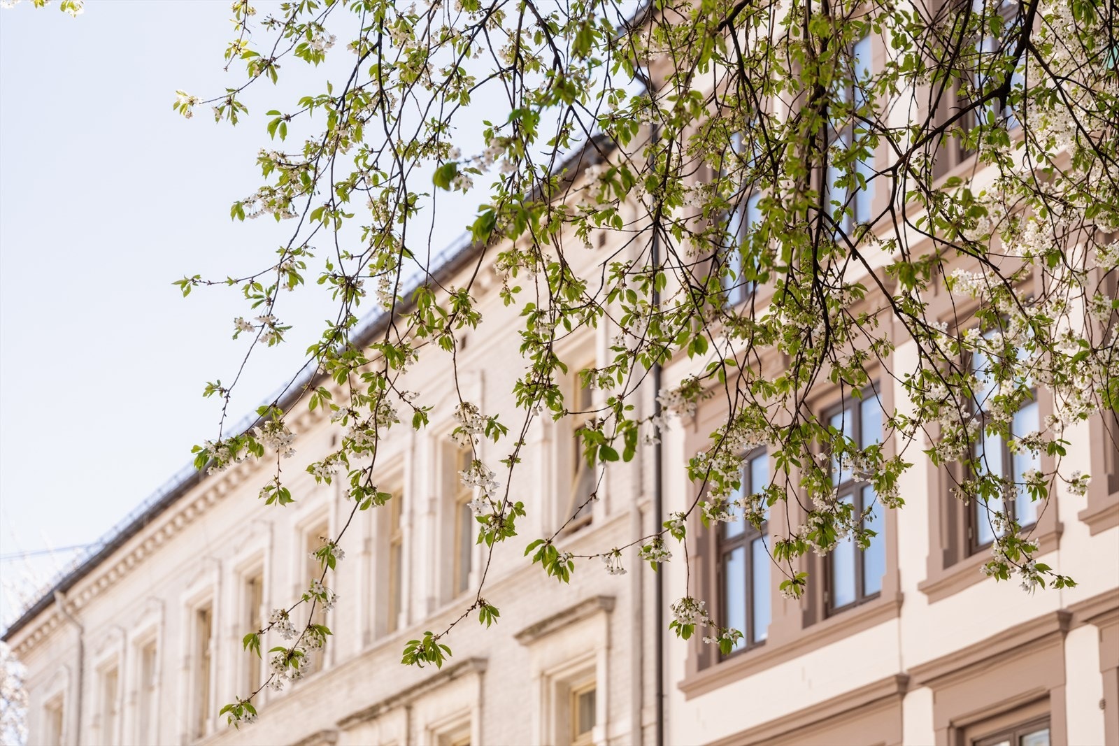 Leiligheten har en fin beliggenhet i en rolig og fredelig gate samtidig som det er gangavstand til alt et rikt byliv kan tilby. Galleribilde