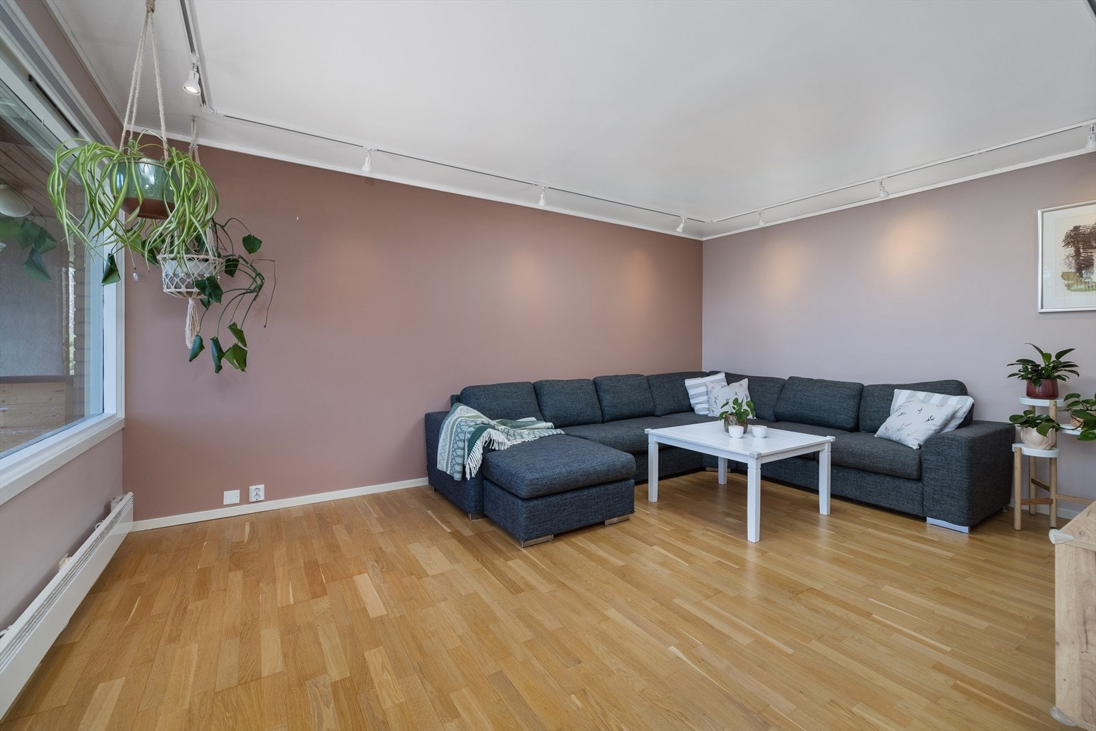 Malte, glatte flater på vegger gir et rent og ryddig uttrykk. Galleribilde