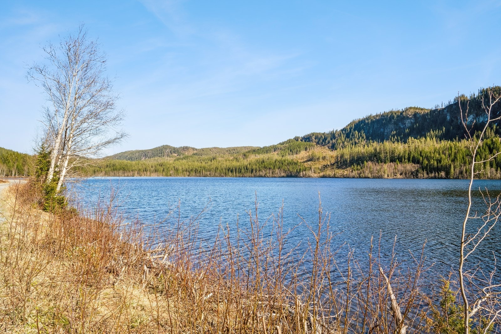 Velkommen til en trivelig visning! Galleribilde