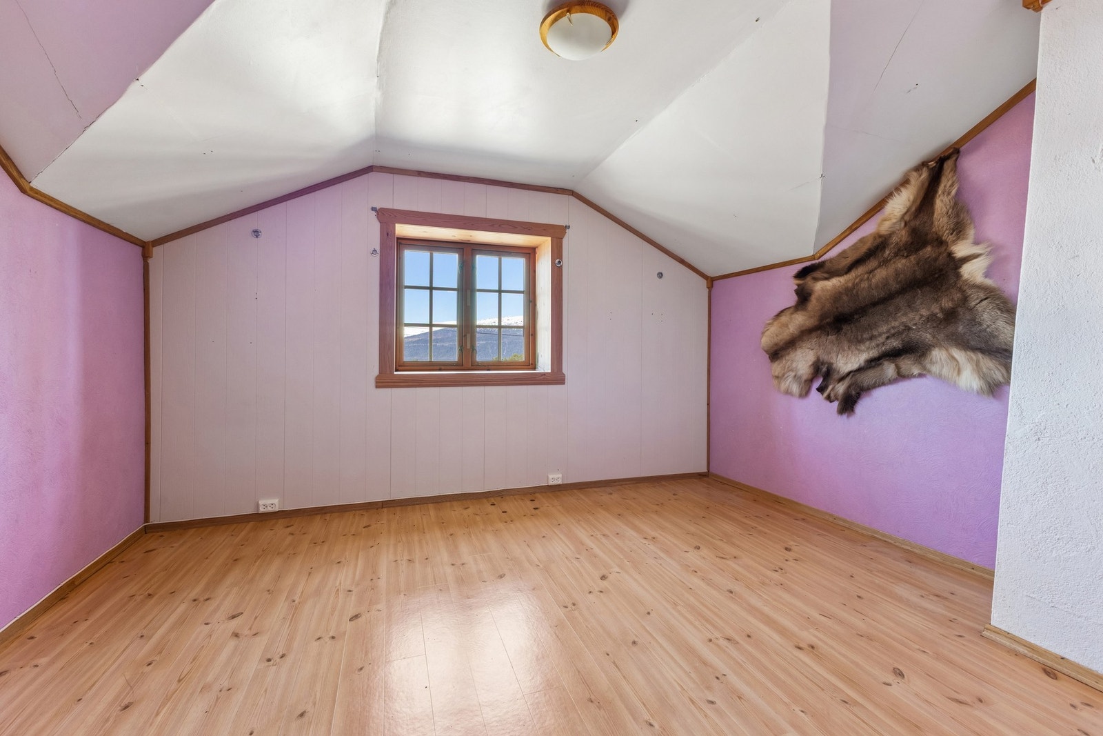 Lyst og trivelig rom med laminat på gulvet og malte plater på veggene. Galleribilde