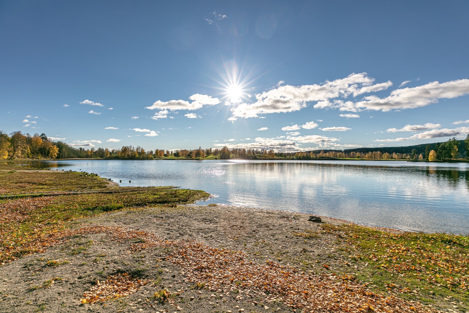 Nabolaget grenser til Bogstadvannet, med badevik, roklubb, herlige turveier og tilgang til Bogstad gård Galleribilde