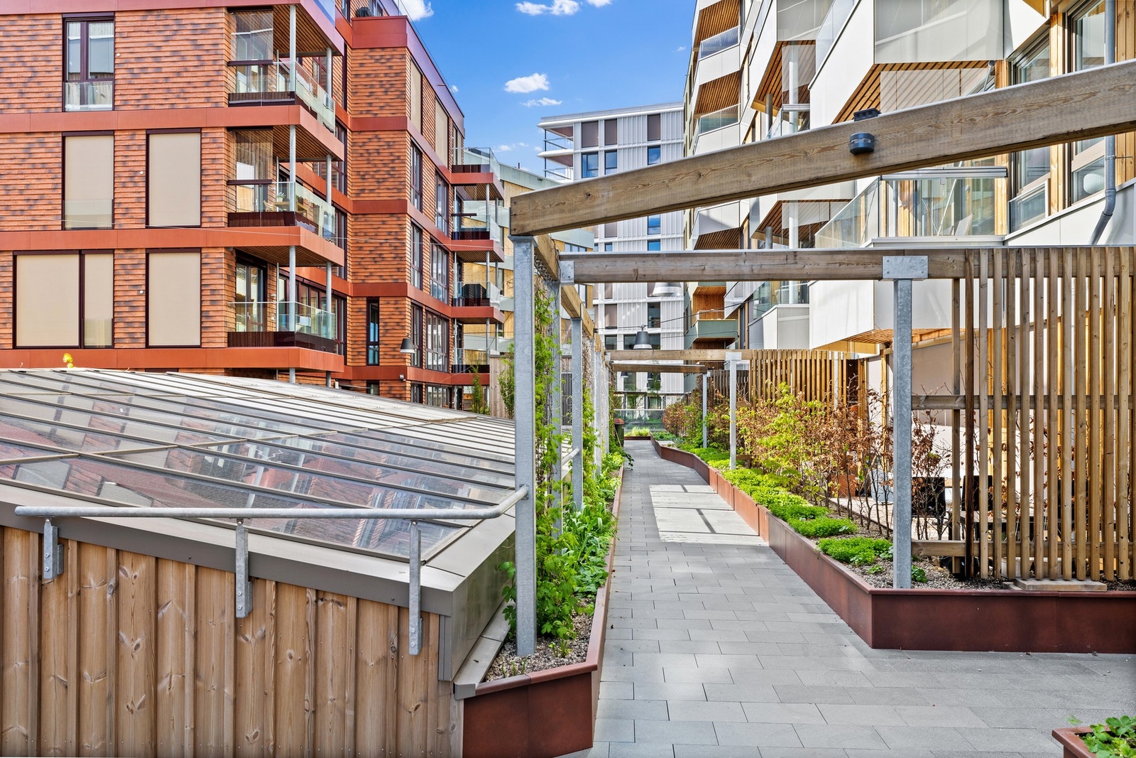 Takhage med inviterende soner Galleribilde