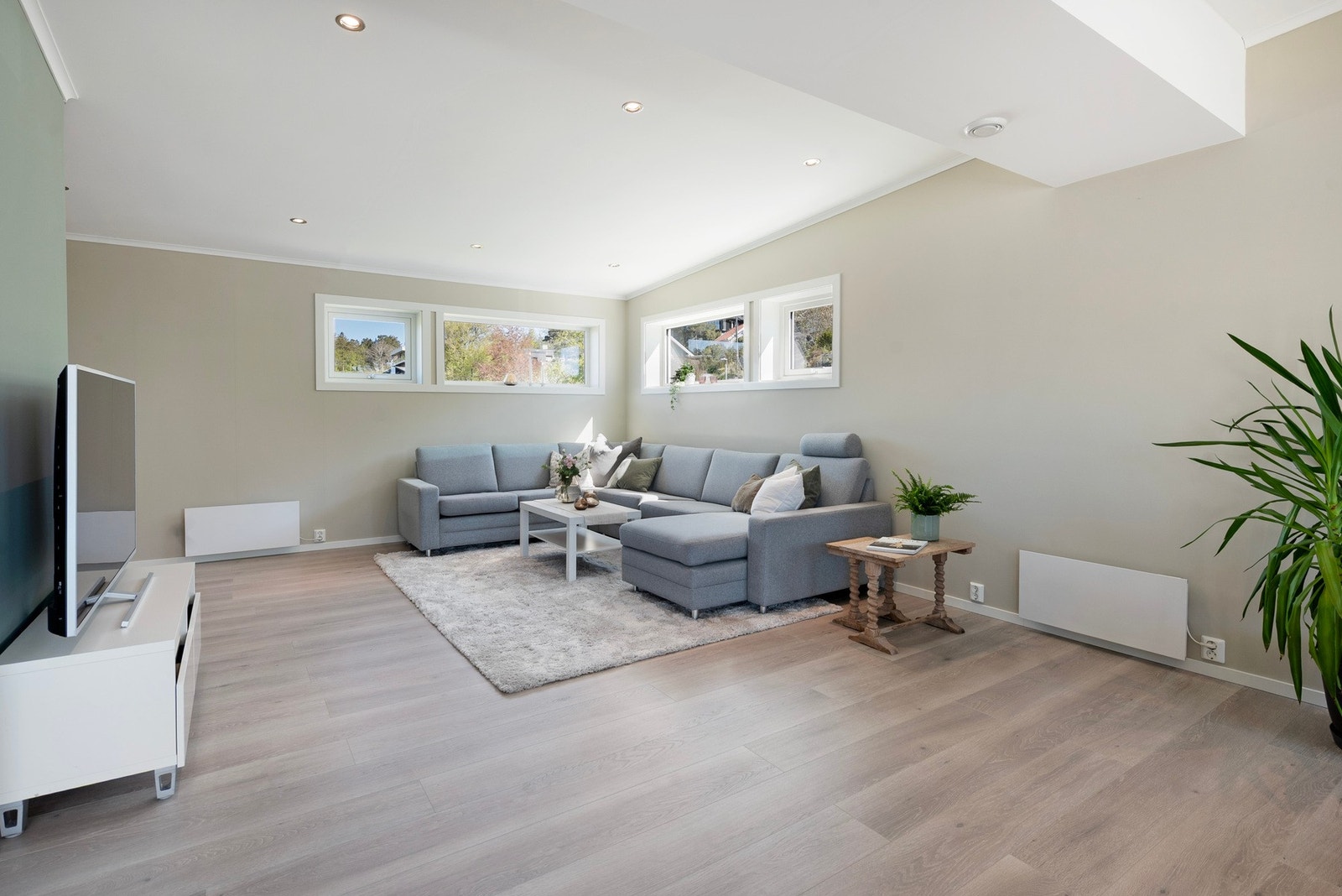 God plass til sofagruppe Galleribilde