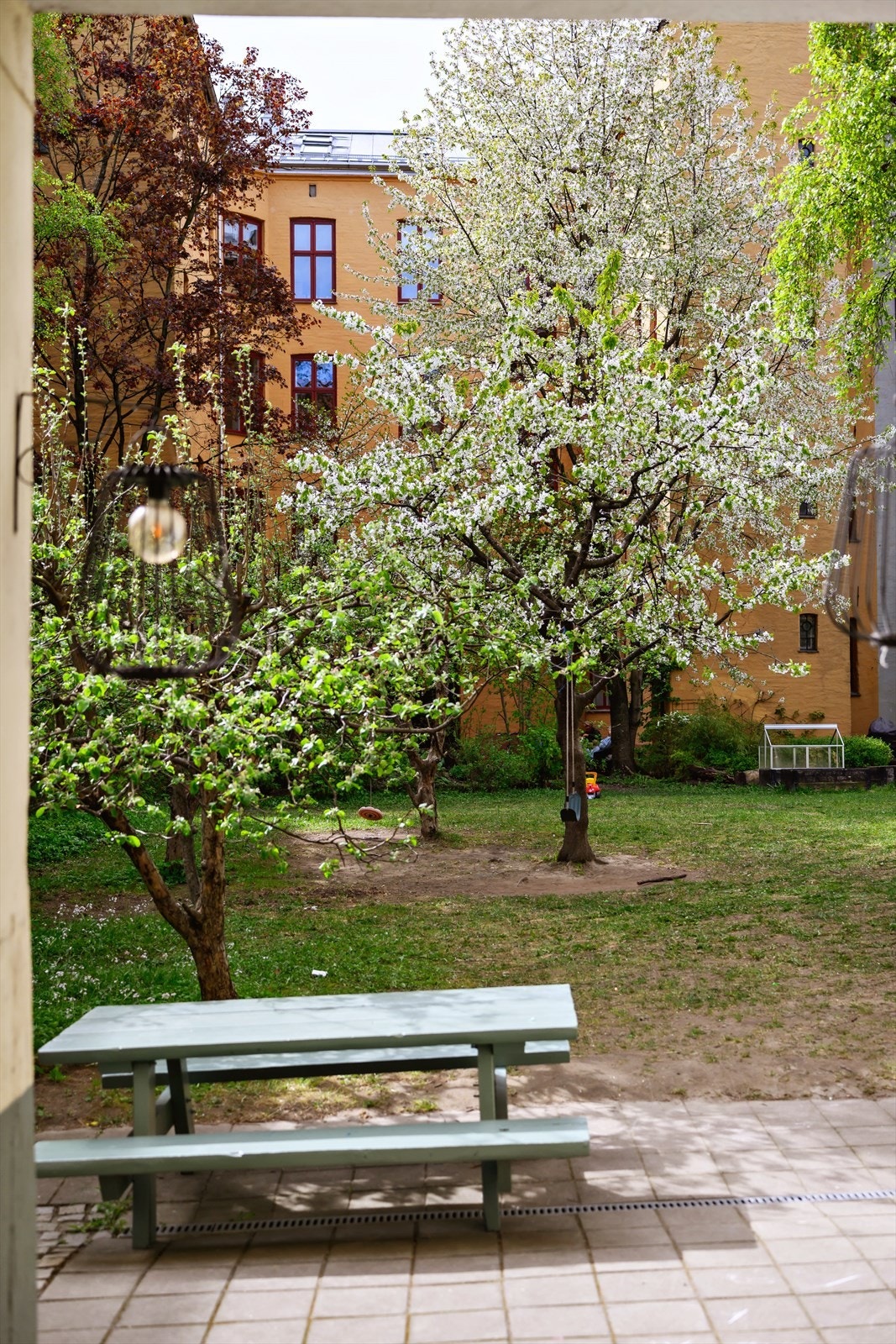 Bakgården er pent opparbeidet med sittegrupper, plen og beplantning. Galleribilde