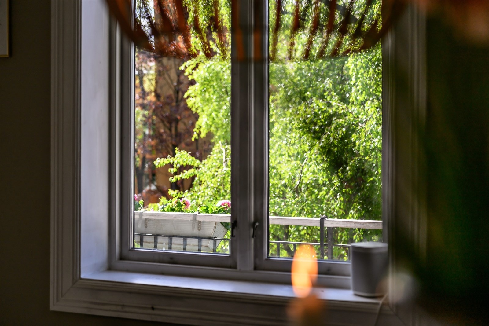 Utsikt fra middagsbordet mot bakgården. Galleribilde