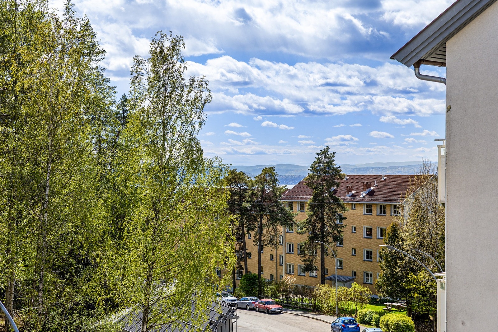 Flott utsikt. Galleribilde