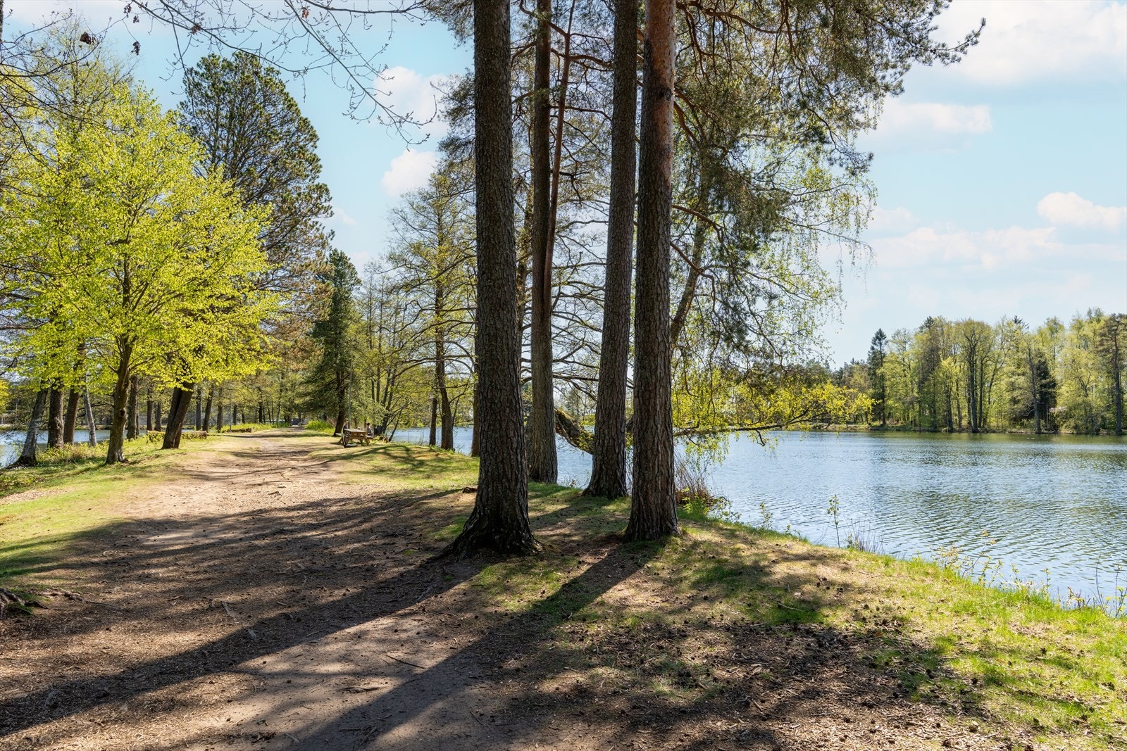 Langs vannet finner man fine turstier, egnet for både gåturer og jogging. Galleribilde