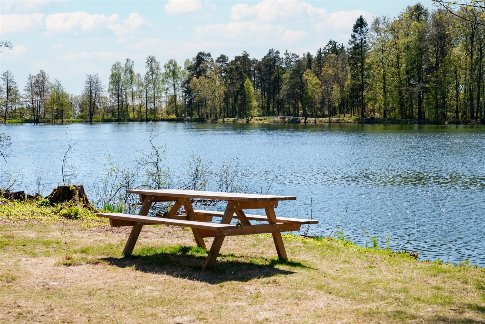 Bugårdsparken er et naturlig samlingspunkt med turstier og store grøntområder. Galleribilde