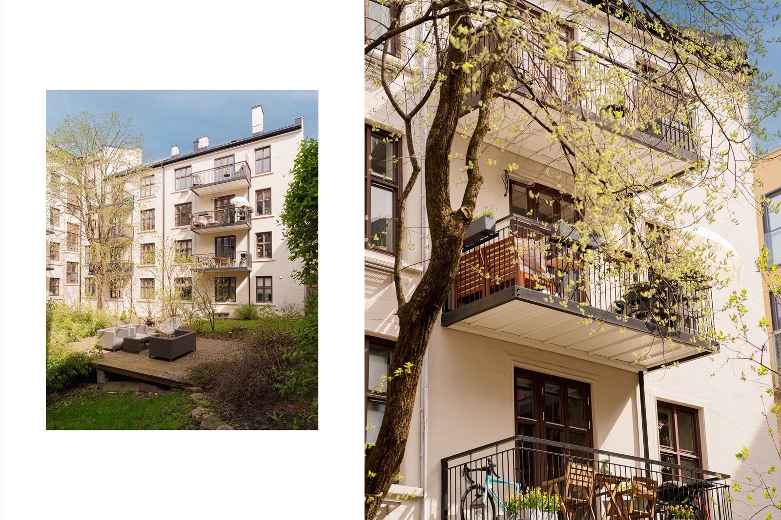 Balkongen vender mot en stille bakgård med klatreplanter, grønt gress og et vakkert, grønt tre som skaper en rolig og hyggelig atmosfære. Galleribilde