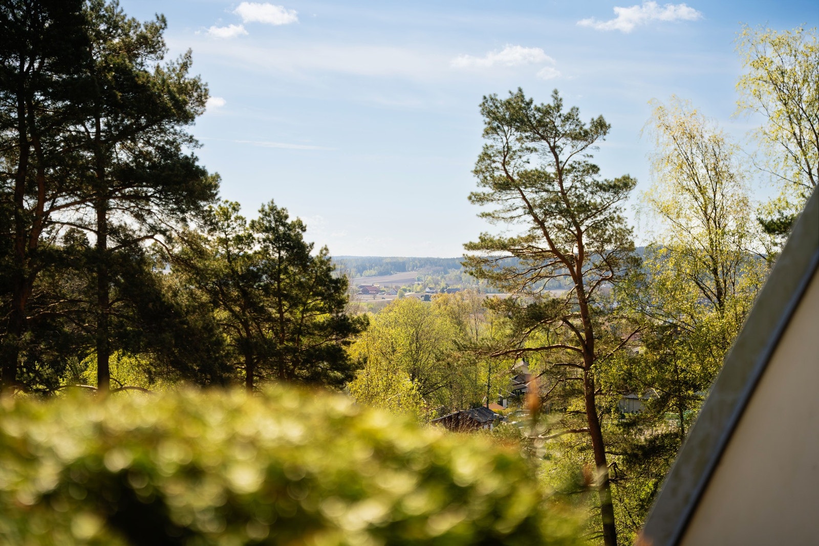 Utsikt fraa terrassen Galleribilde