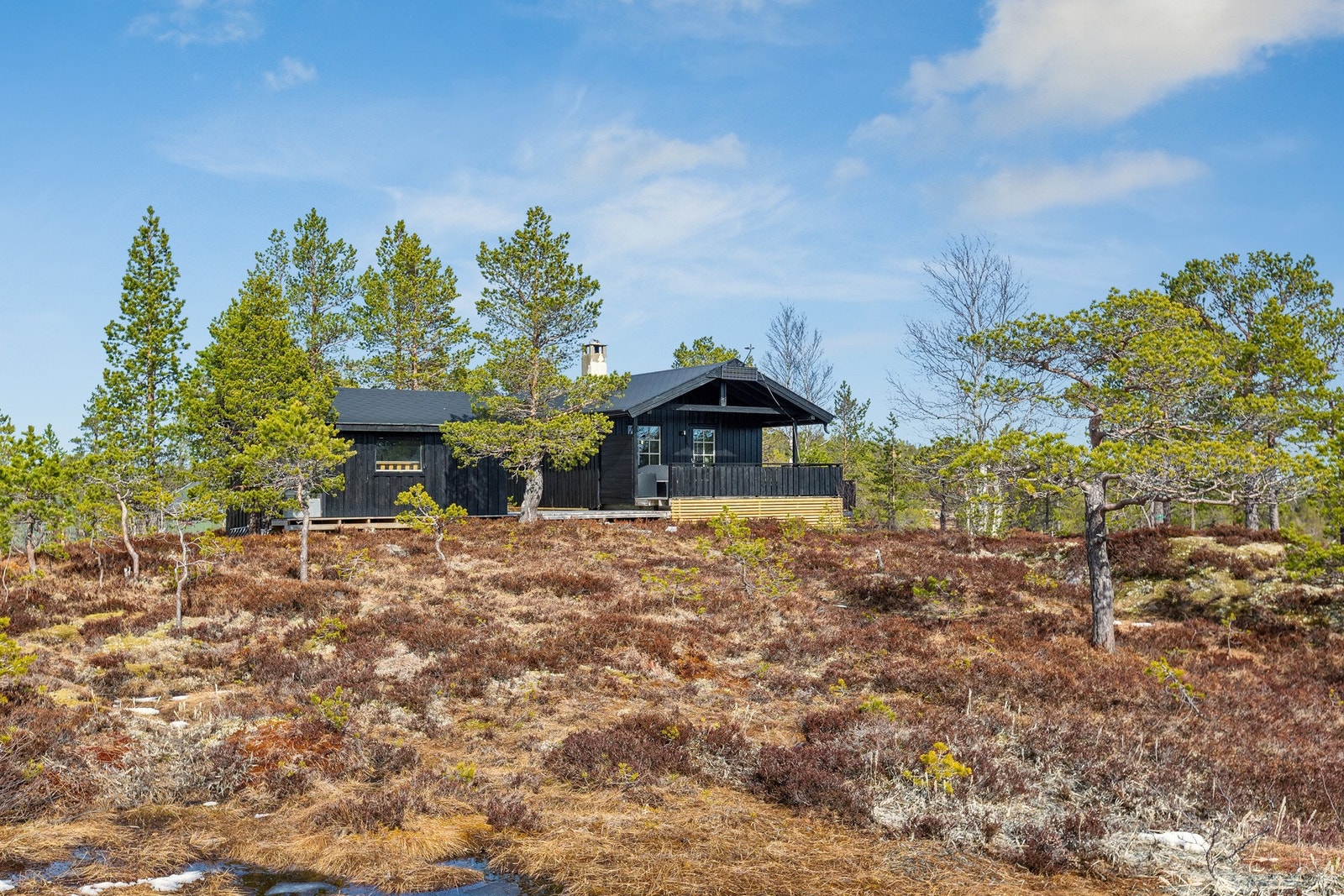 Velkommen til trivelig visning! Galleribilde