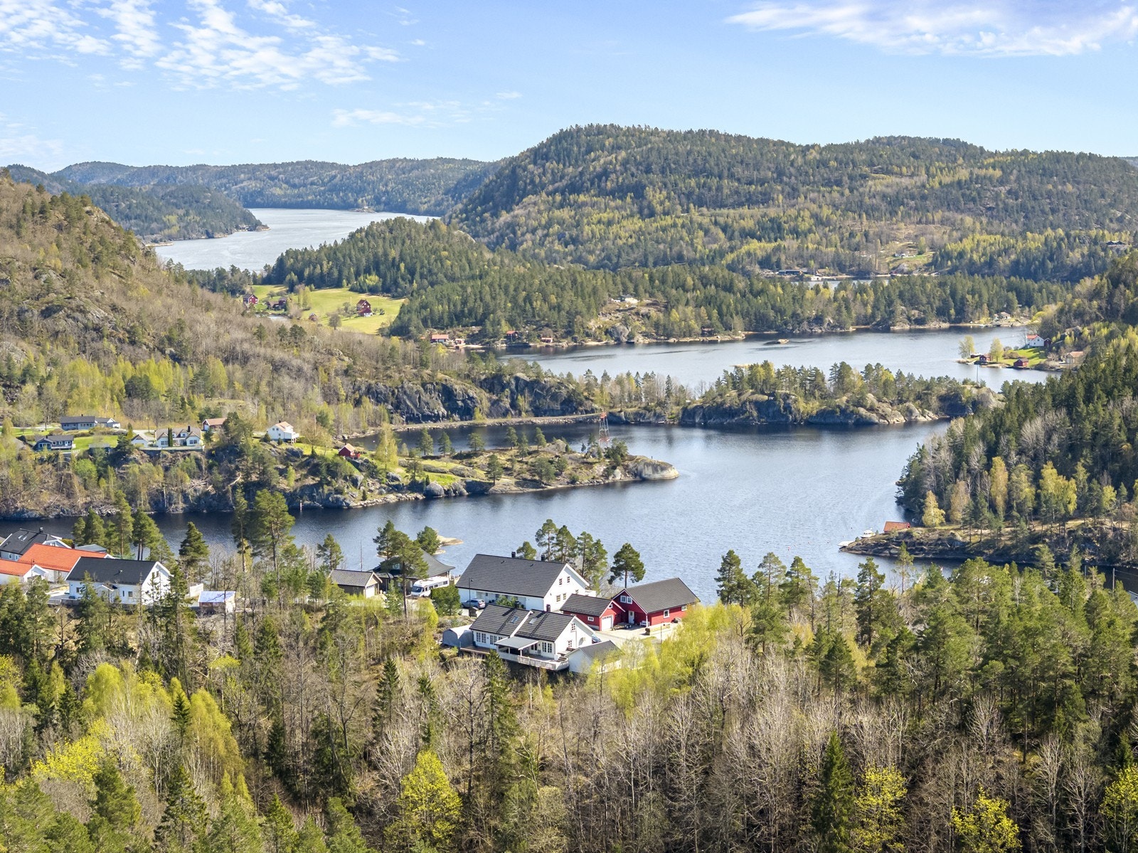 Panoramautsikt over fjord og skog gir en unik opplevelse av landskapet. Galleribilde