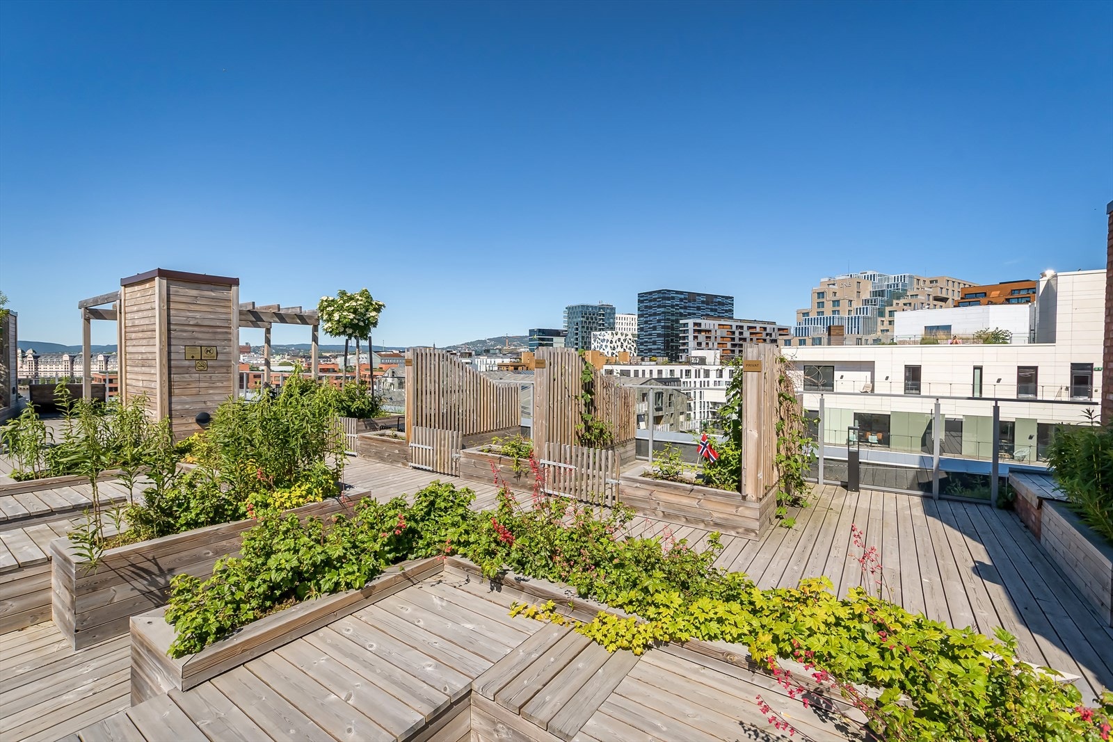 Stor og felles takterrasse for beboerne med sitteplasser og beplantning Galleribilde