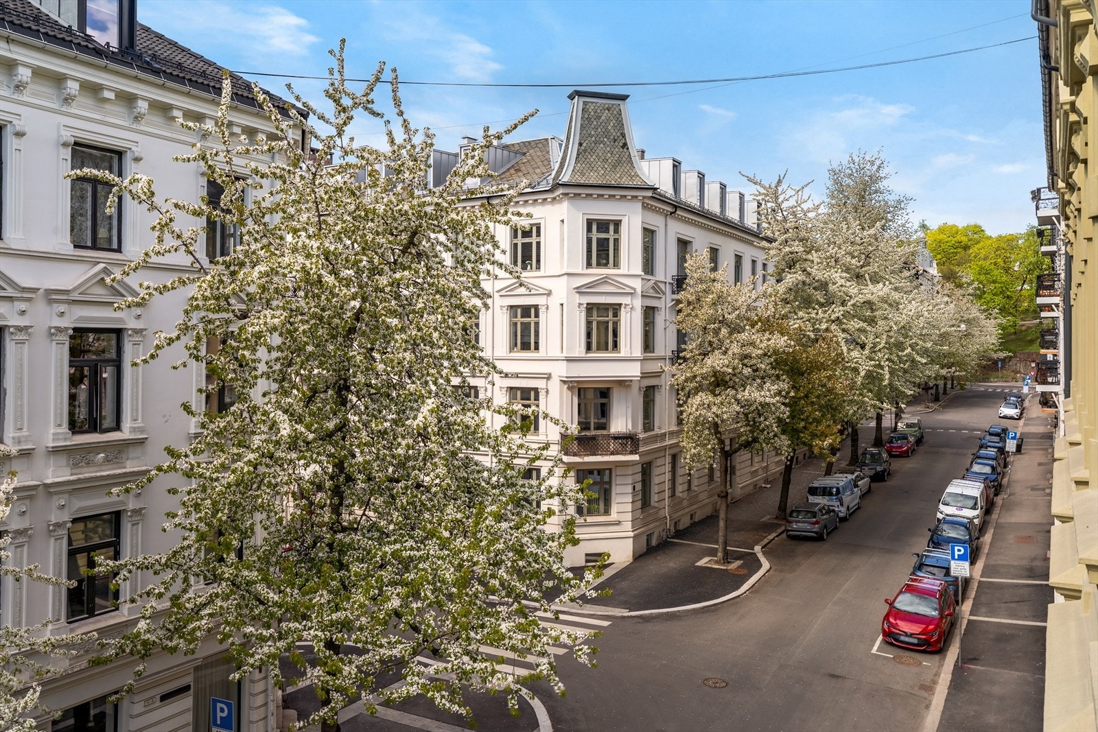 En vakker, rolig og lite trafikkert gate med utelukkende klassisk bebyggelse og flotte kirsebærtrær som blomstrer om våren. Galleribilde