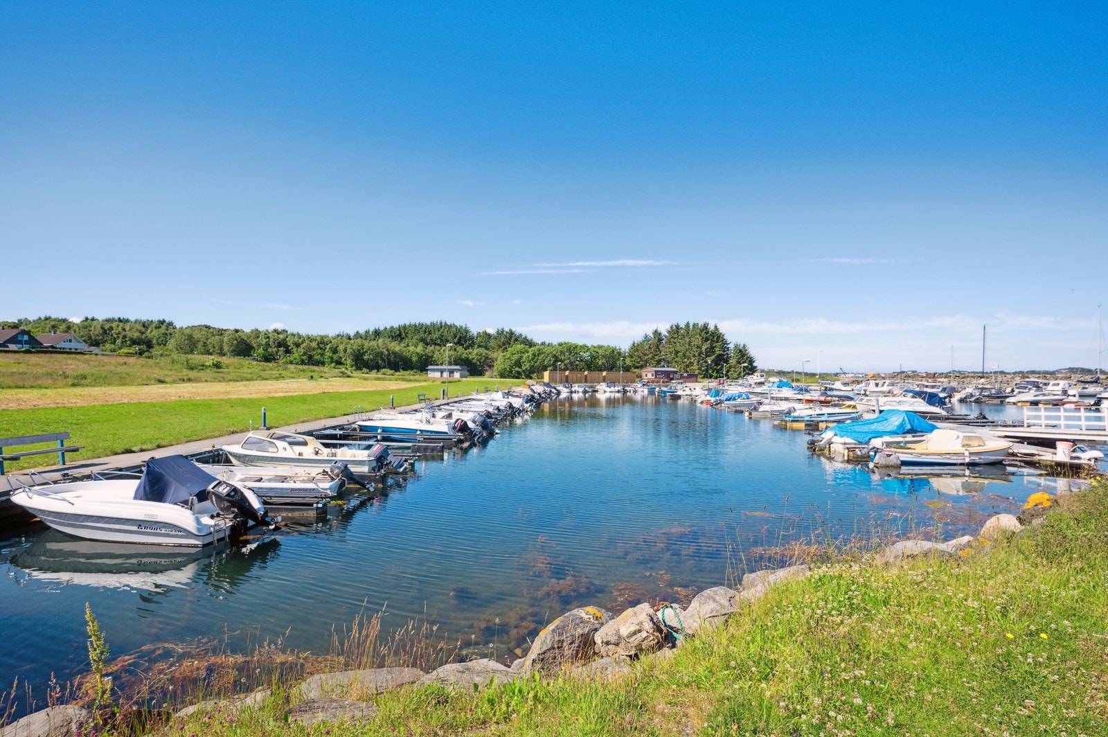 Nærområdet Galleribilde