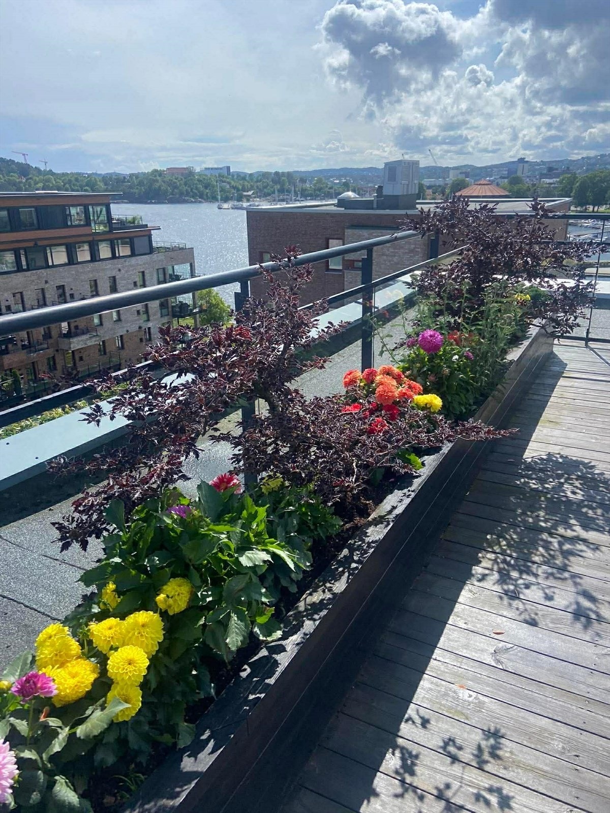 Det er også pen beplantning som er vedlikeholdt og som bidrar til ett trivelig bomiljø (selgers bilde). Galleribilde