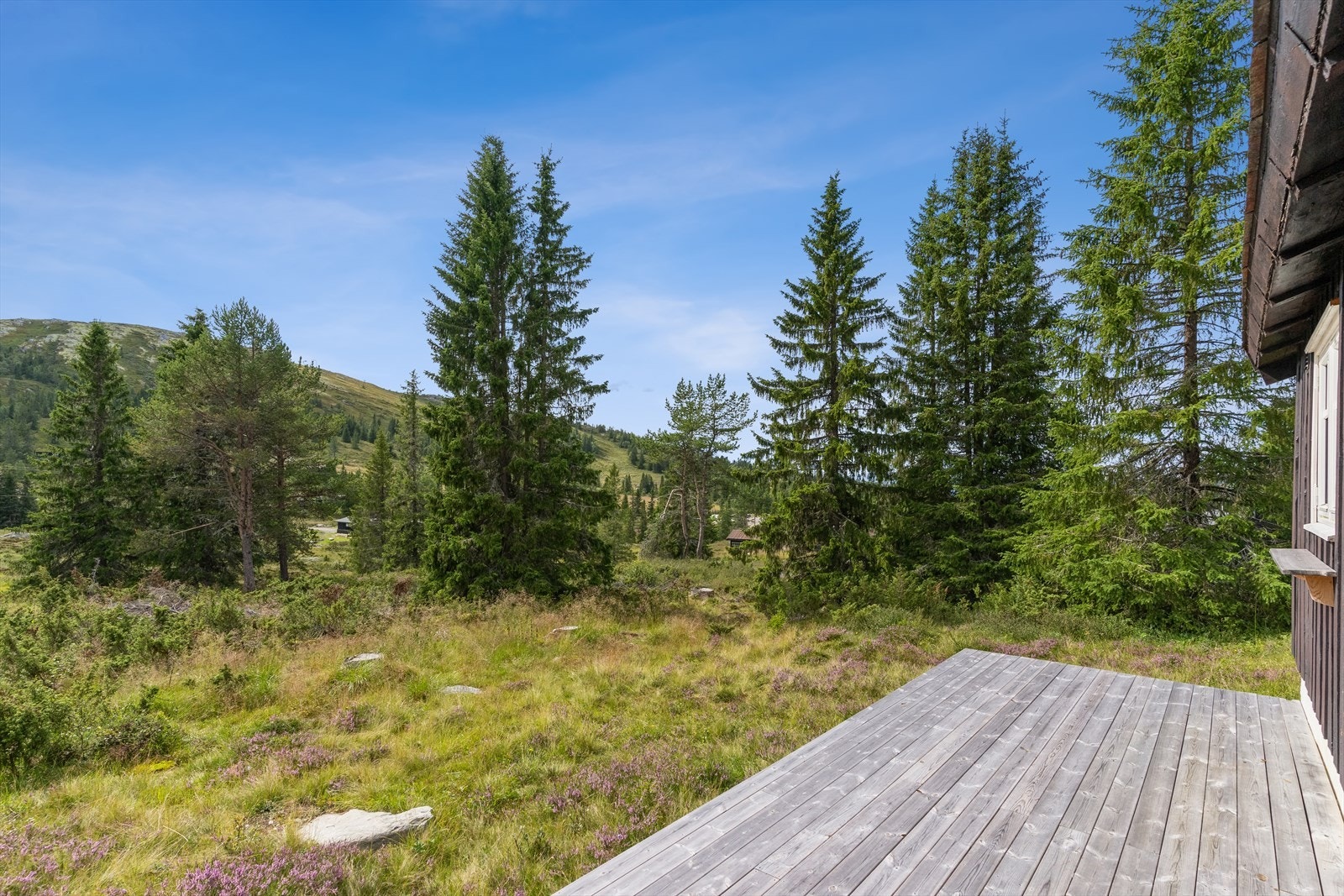 Hyggelig terrasse hvor man kan nyte roen og god sol. Galleribilde