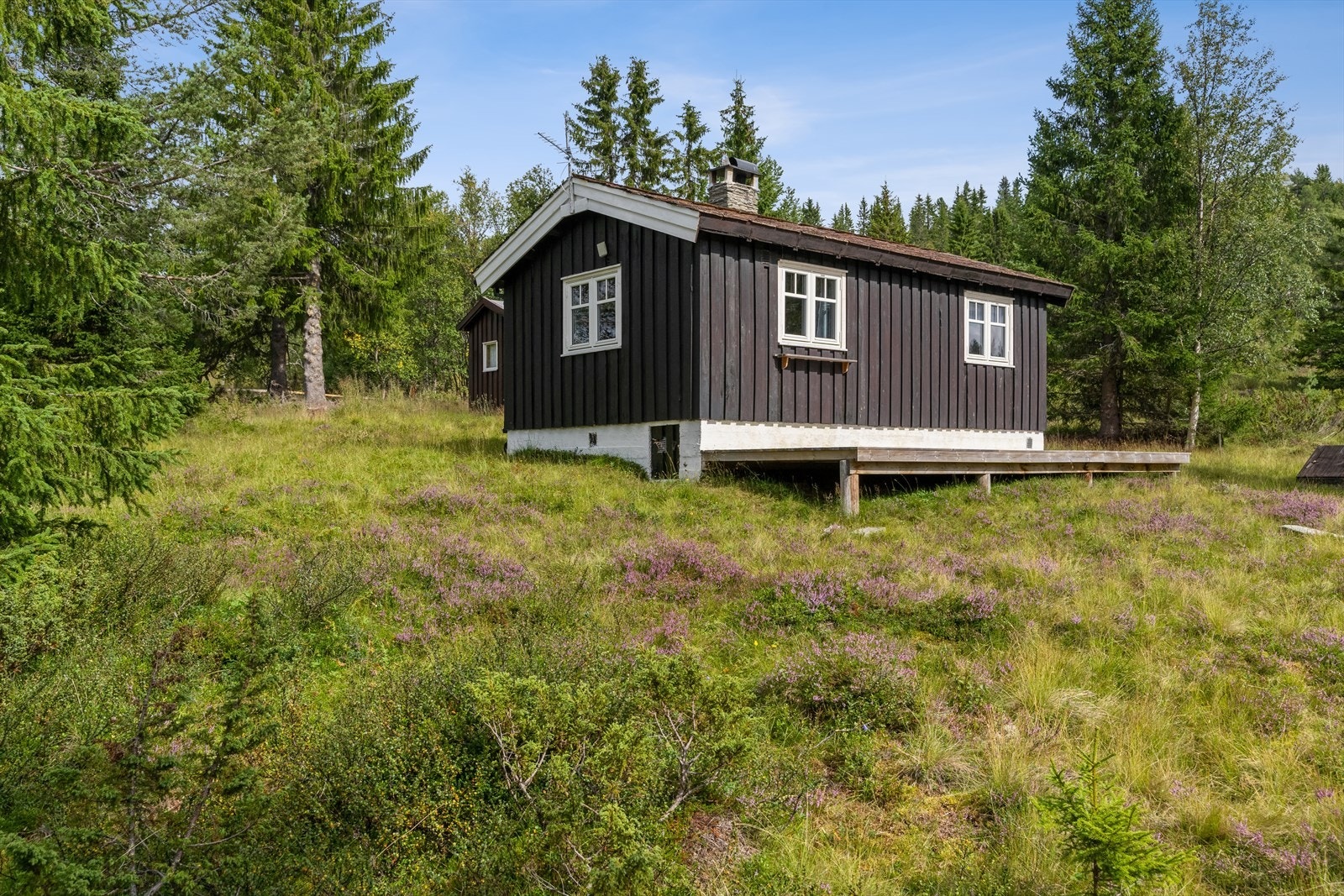 Om sommeren er det utallige turmuligheter både til fots og med sykkel. Det er også fine muligheter for jakt og fiske. I sesong er både Peer Gynt Hytta og Rondvassbu (DNT hytte) åpne og har servering for besøkende. Galleribilde