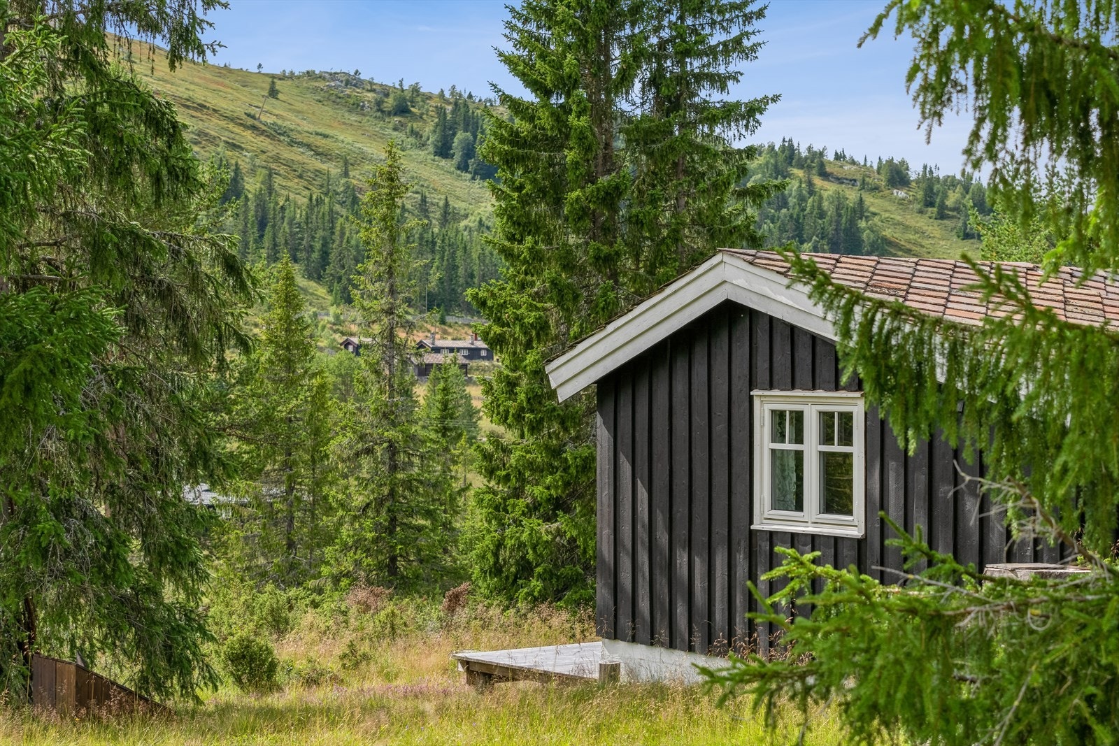 Rondane nasjonalpark ligger i umiddelbar nærhet til eiendommen, med muligheter for unike turmuligheter i flott natur både sommer og vinter. Galleribilde