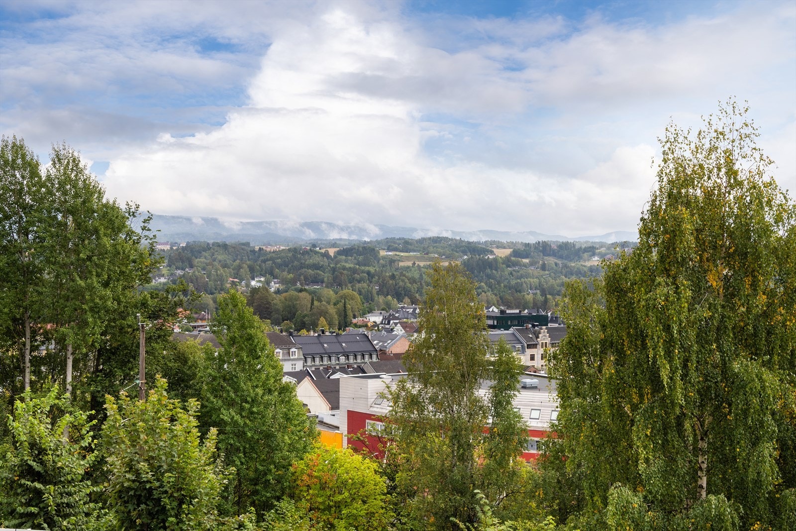 Fra boligen er det utsikt over Hønefoss og de omkringliggende skogkledde åsene. Galleribilde