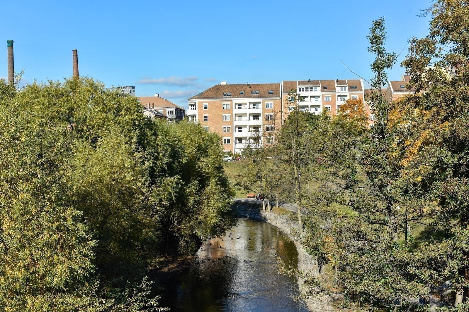 Område Galleribilde