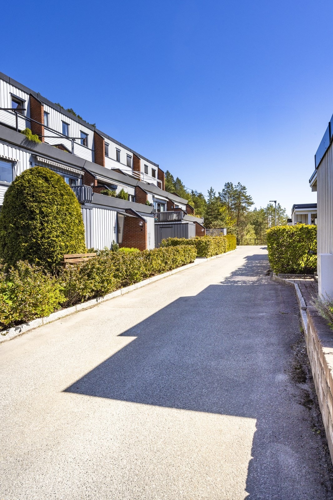 Sameiet har pent opparbeidede fellesarealer. Galleribilde