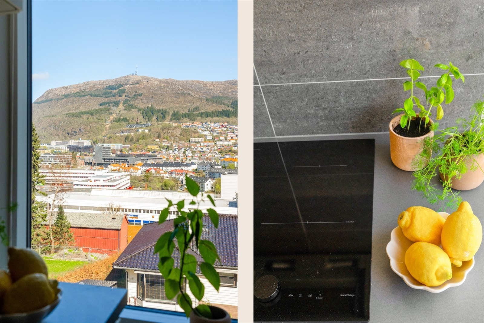 Kjøkkenet er utstyrt med kjøl-/fryseskap, oppvaskmaskin, platetopp og stekeovn. Galleribilde