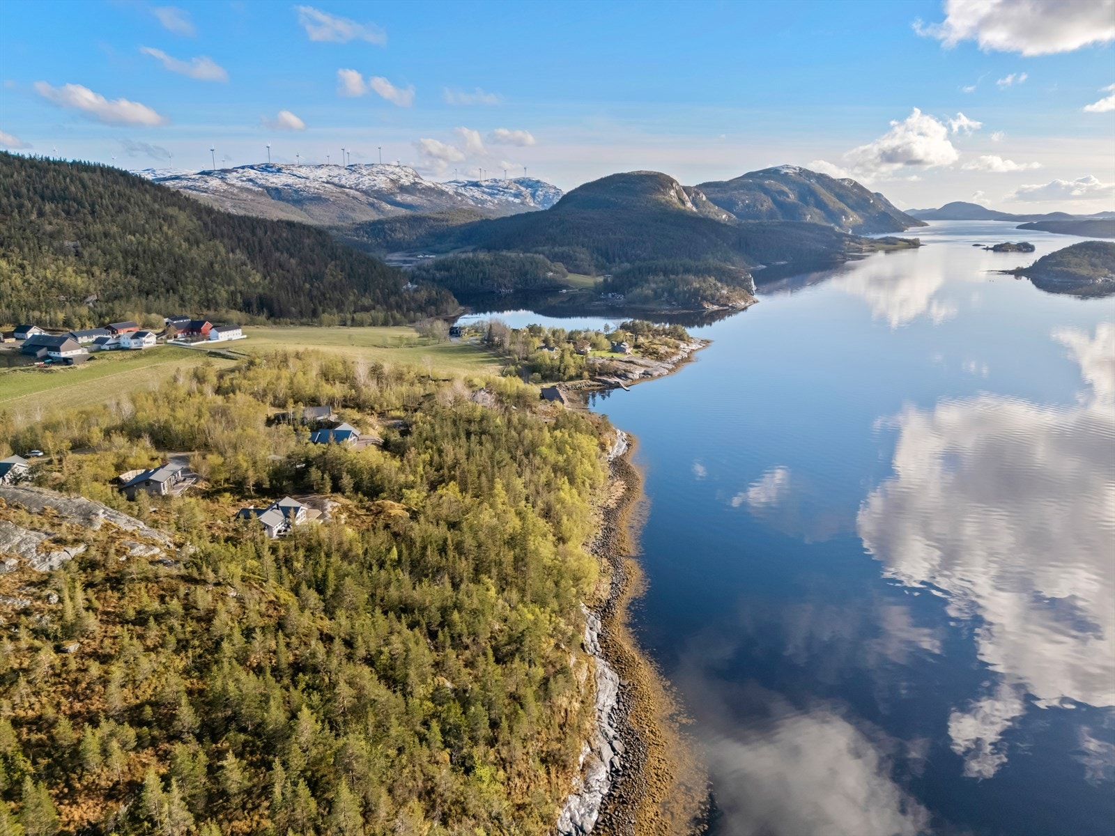 Velkommen til en trivelig visning! Galleribilde