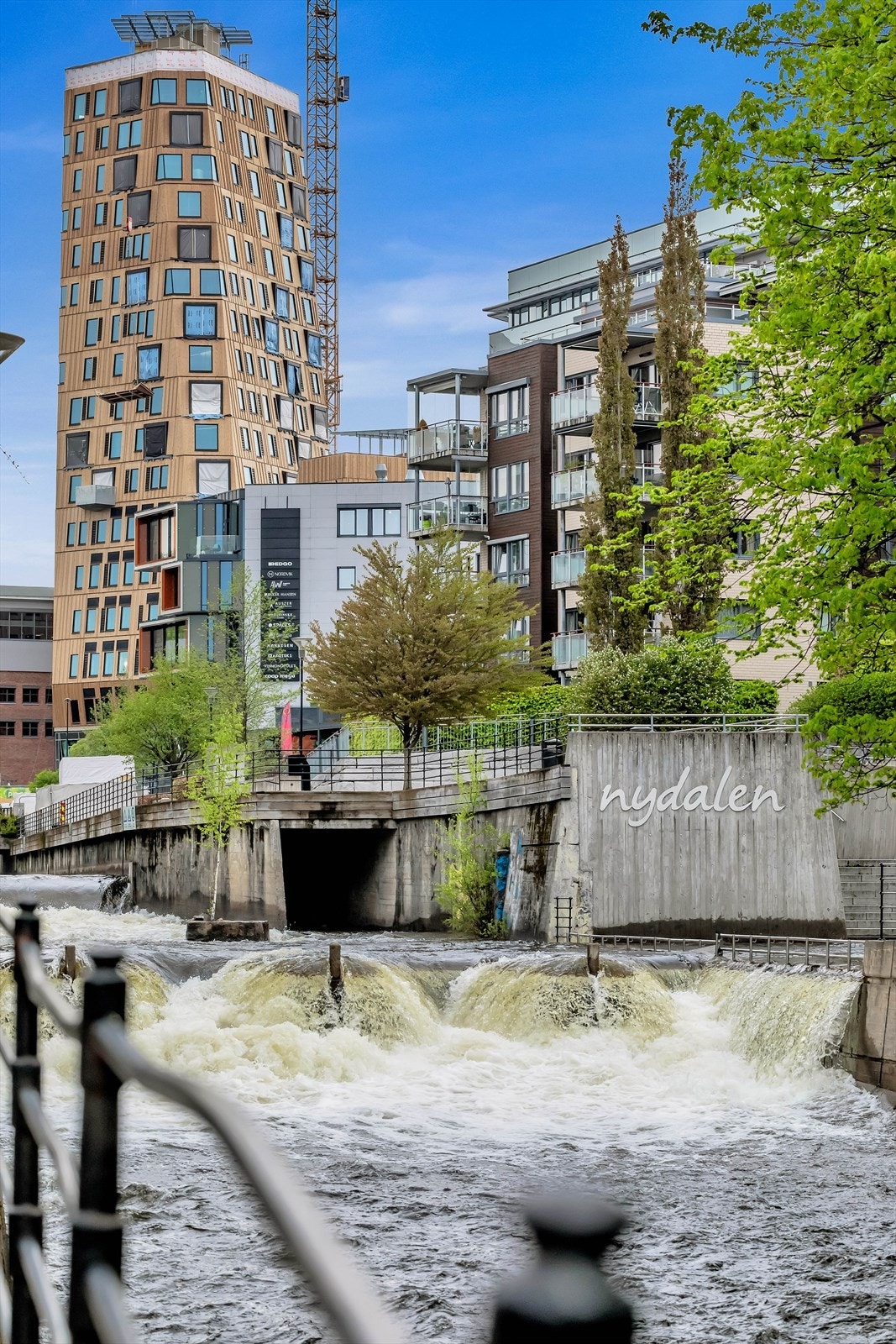 Fine bademuligheter i kulpen i Nydalen. Om man er treningsglad så er mulighetene mange. Maridalsvannet eller Sognsvann Galleribilde