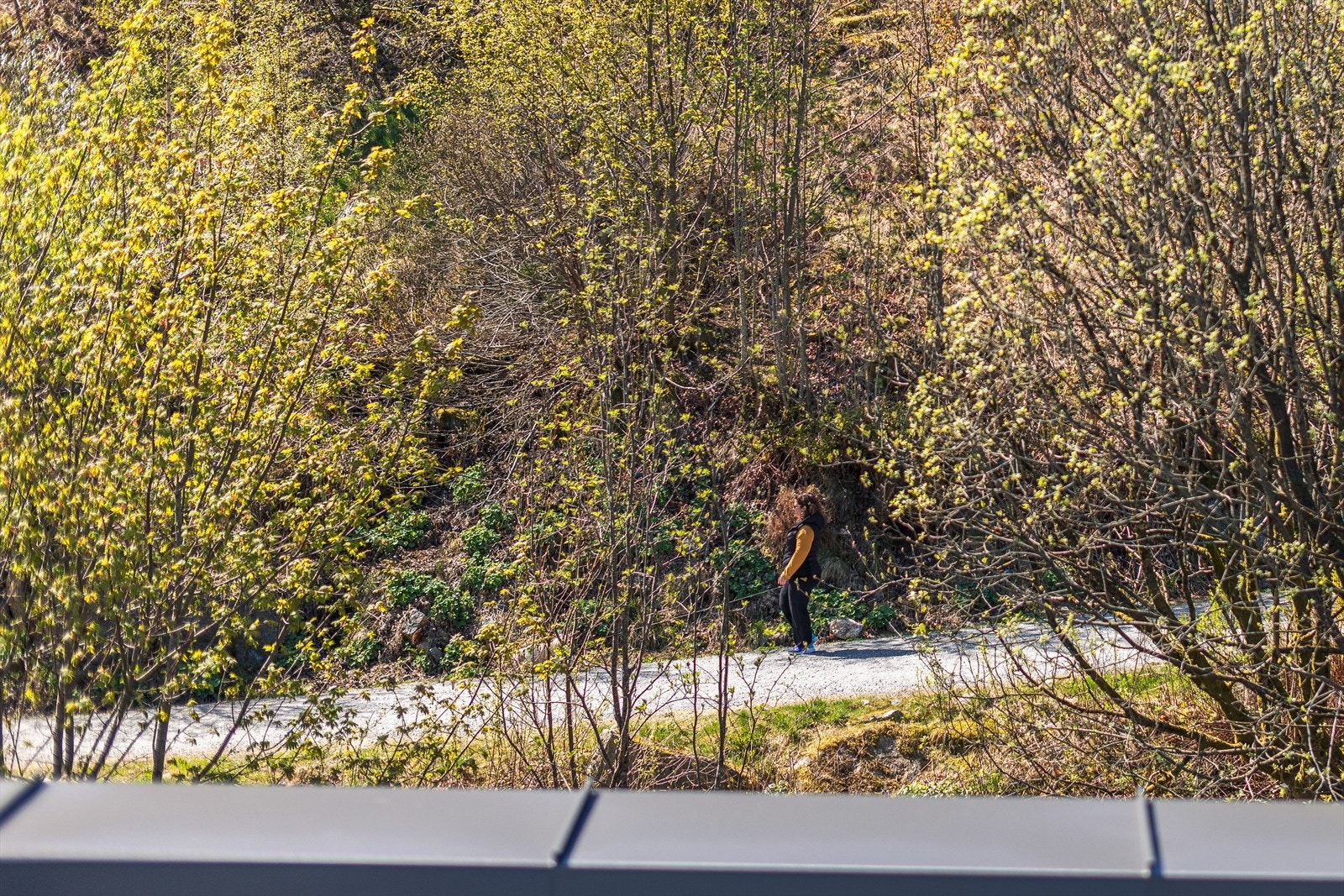 Det er god tilgang til turmuligheter i skog og mark rett utenfor døren. Galleribilde