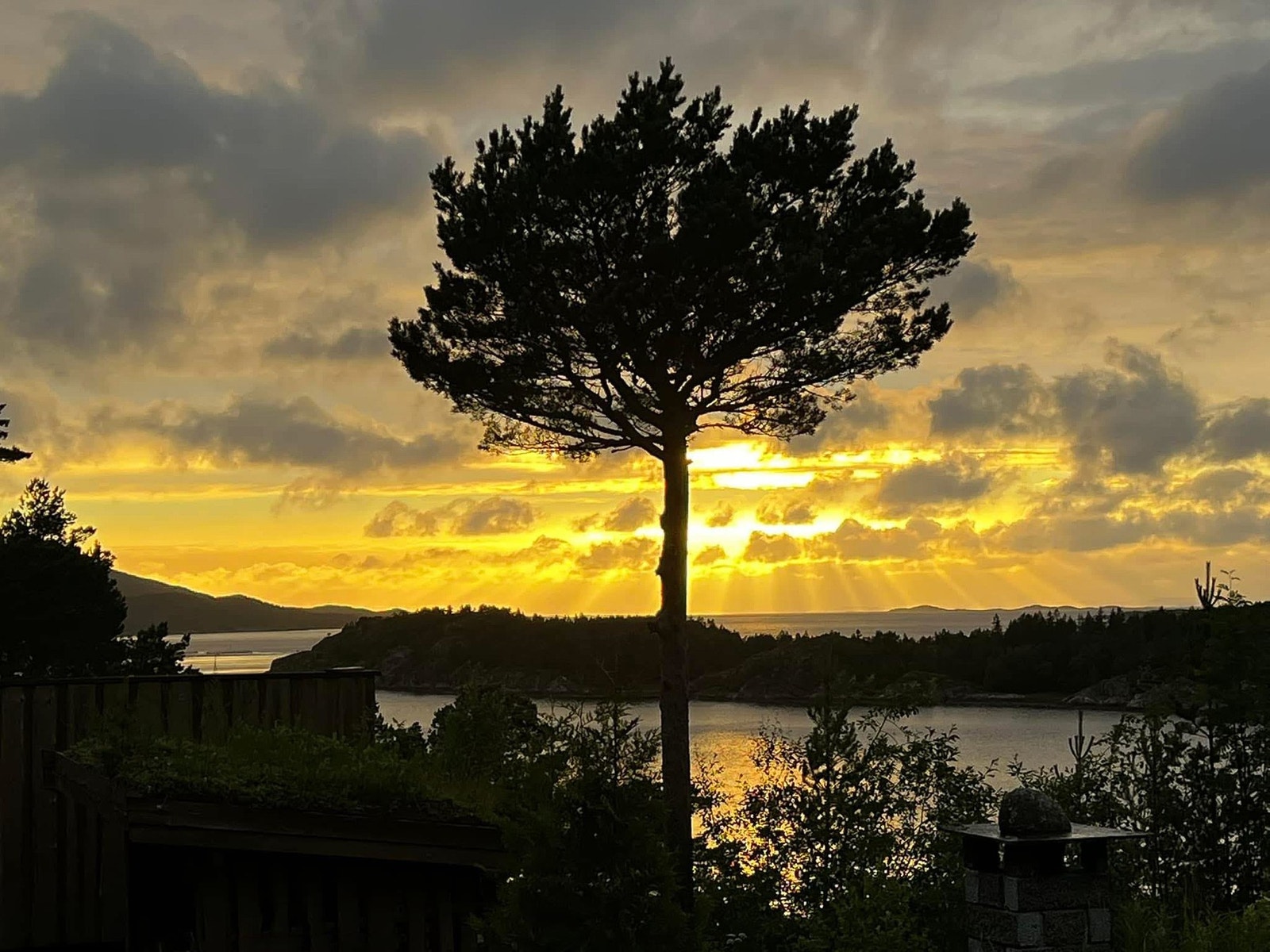 Privat foto Galleribilde