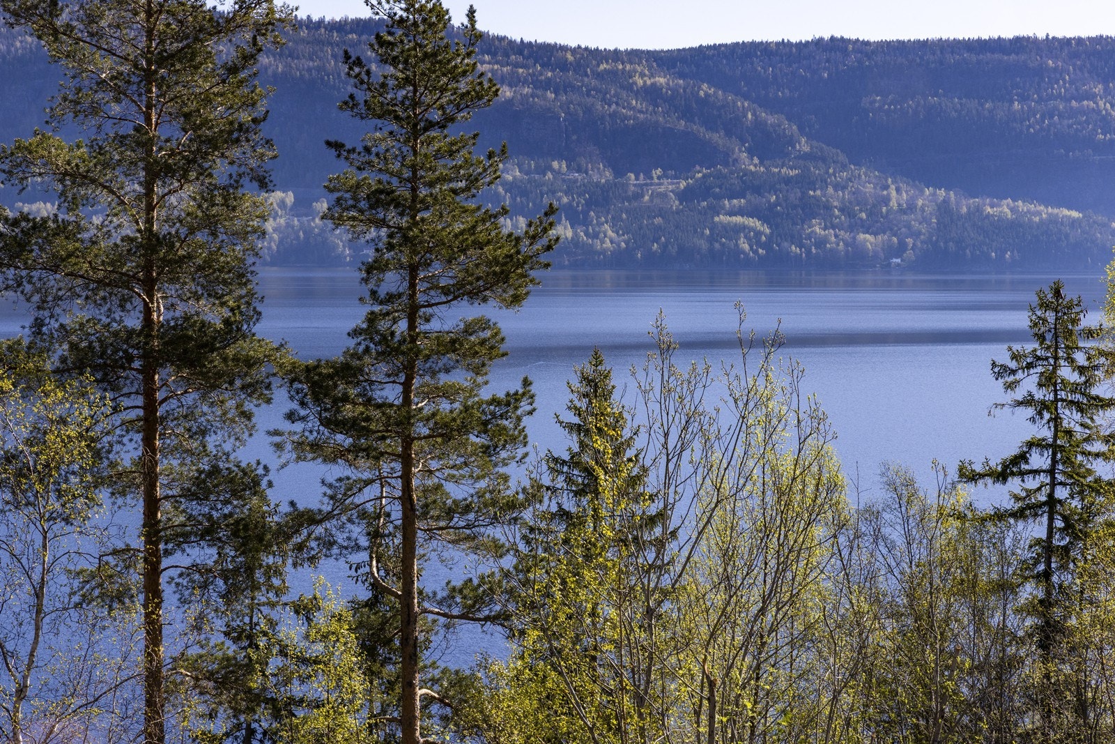 Eiendommen ligger i et område med umiddelbar nærhet til natur og friluftsliv. Galleribilde