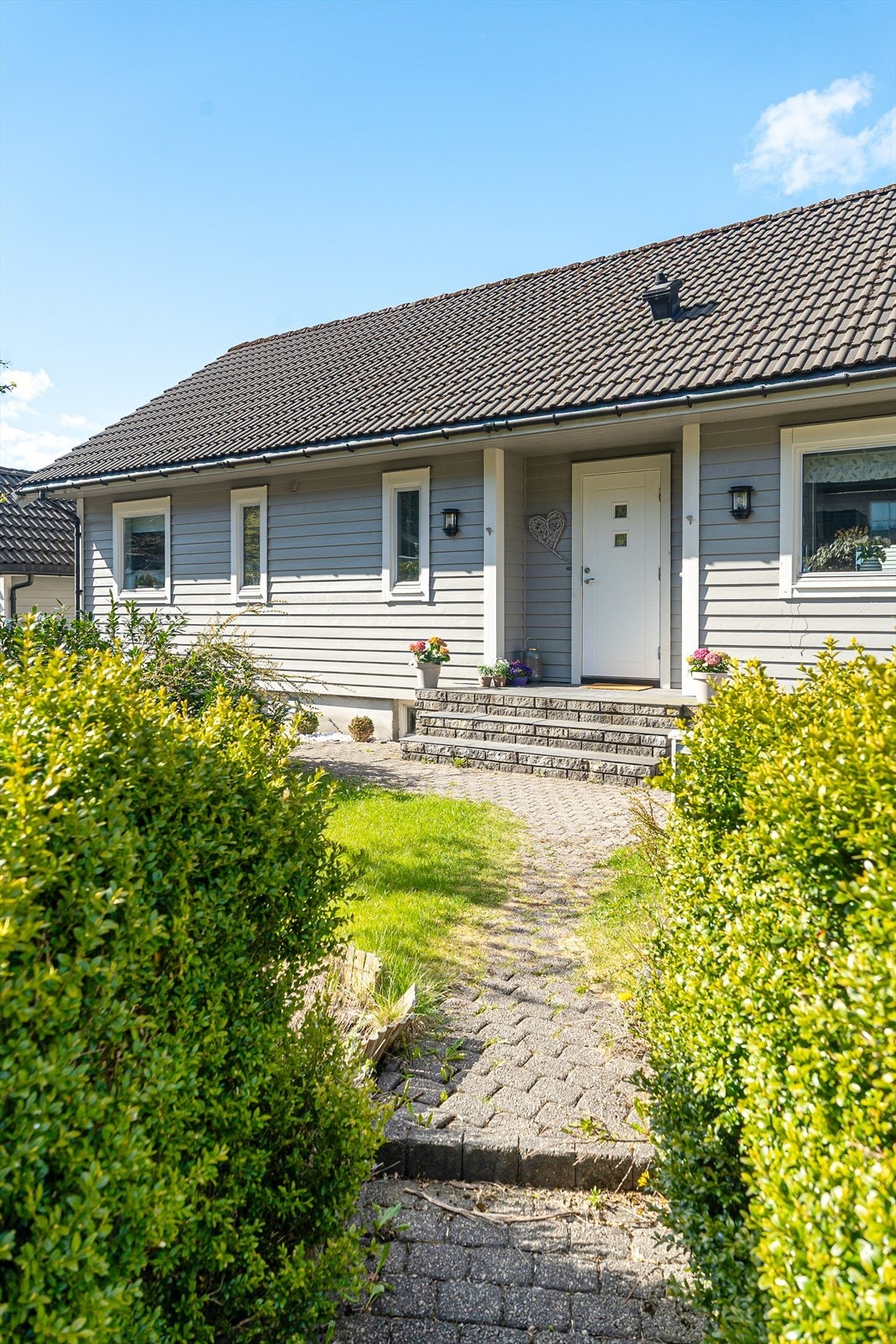 Flott opparbeidet hage med gressplen, hekk og diverse beplantning Galleribilde