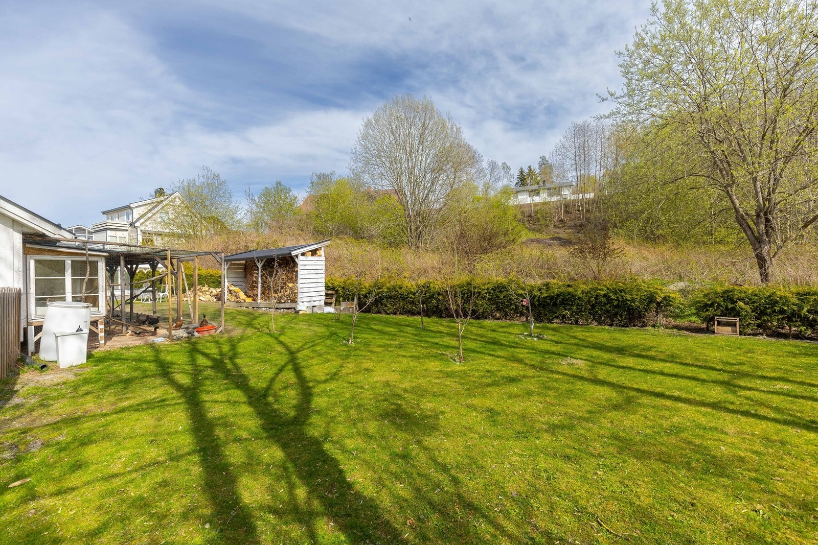 Frodig hage med flere soner. Galleribilde