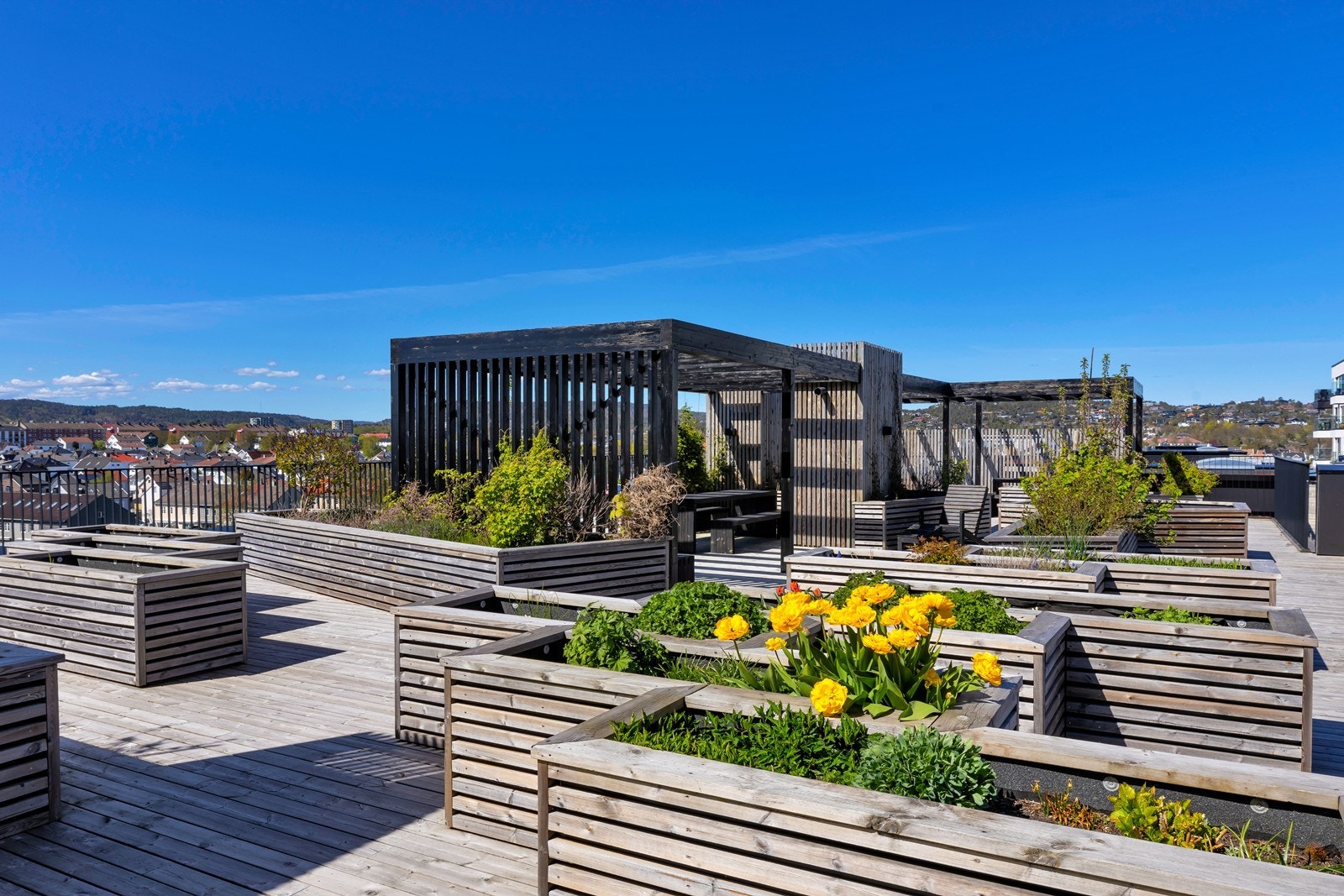 Sameiet har flotte felles takterrasser. Galleribilde