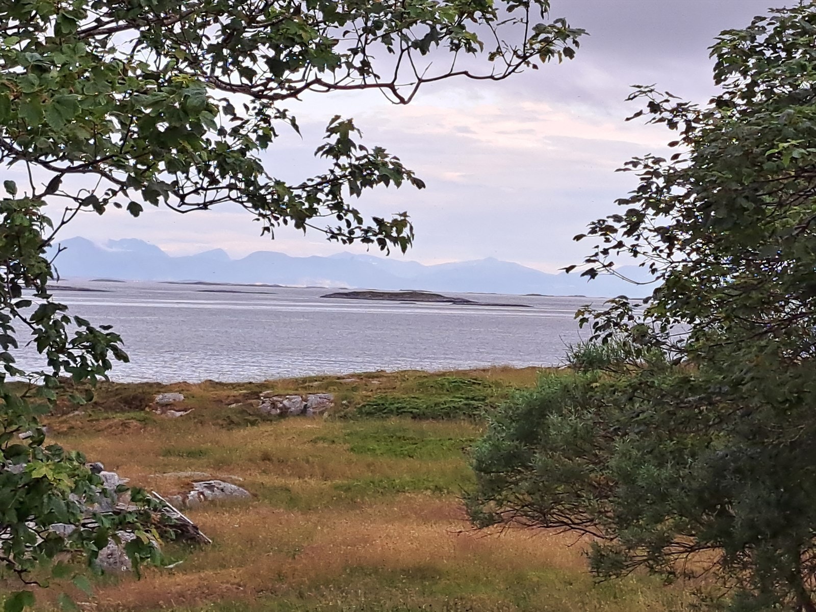 Selgers bilde Galleribilde