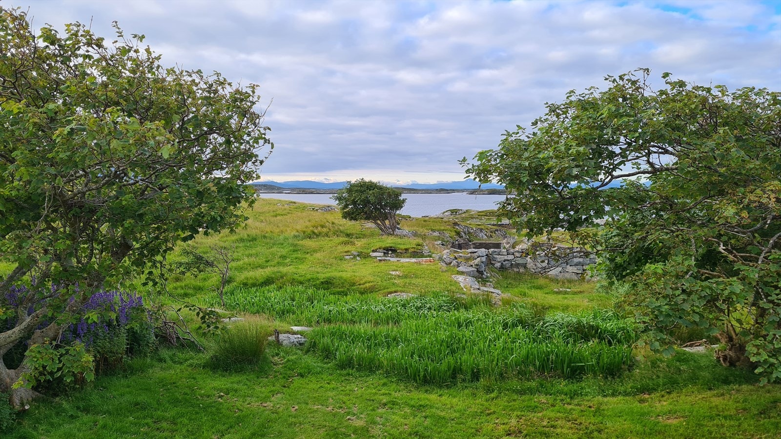 Selgers bilde Galleribilde