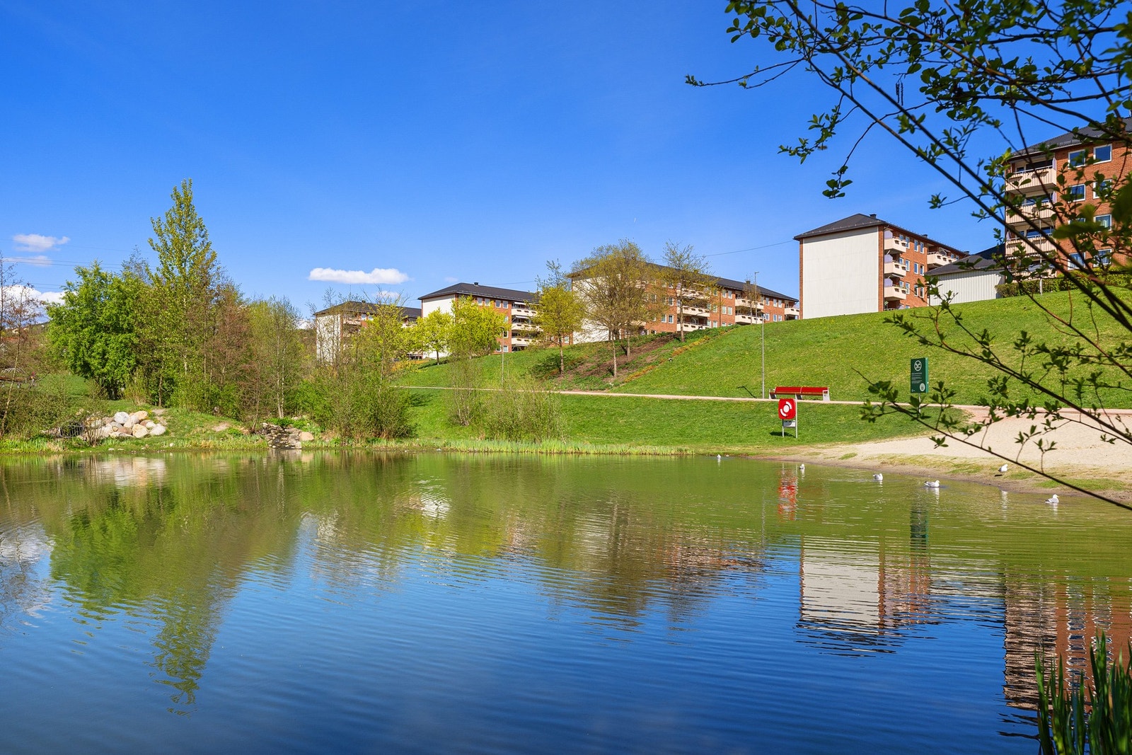 Nærmeste nabo er fantastiske Bjerkedalen Park! Galleribilde