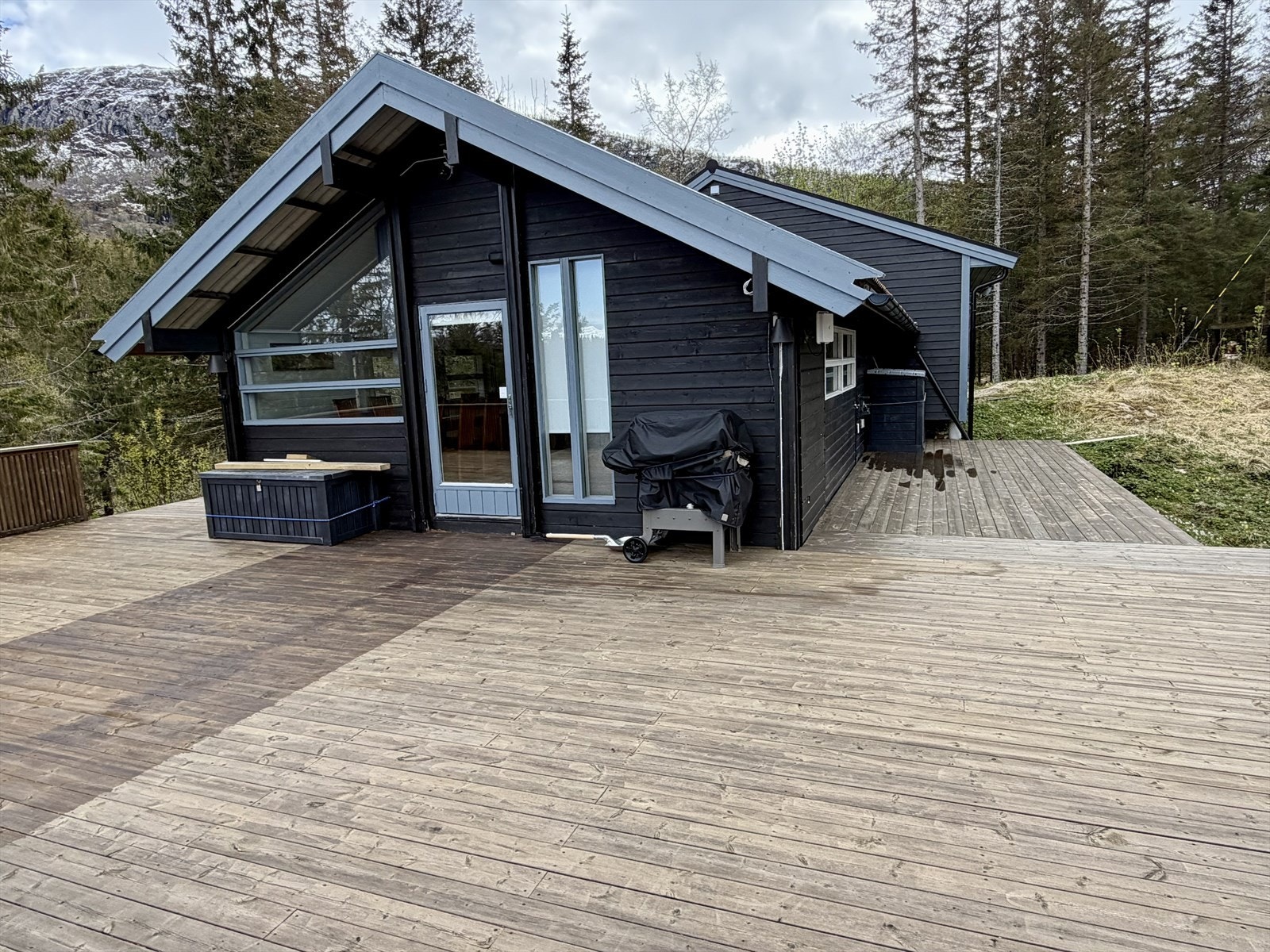 Velkommen til en hyggelig visning! Galleribilde
