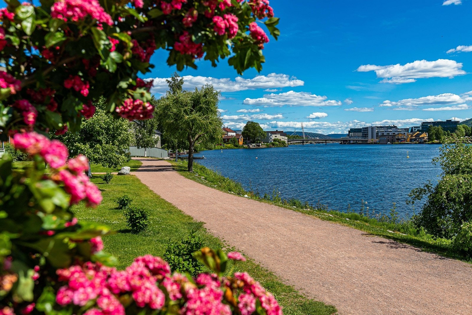 Promenaden langs Drammenselva Galleribilde