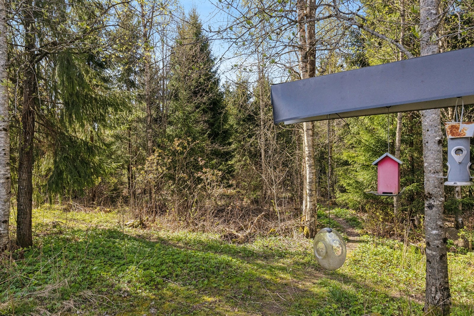 Med skogen som nærmeste nabo er det gode turmuligheter rett utenfor døren, sommer som vinter. Galleribilde