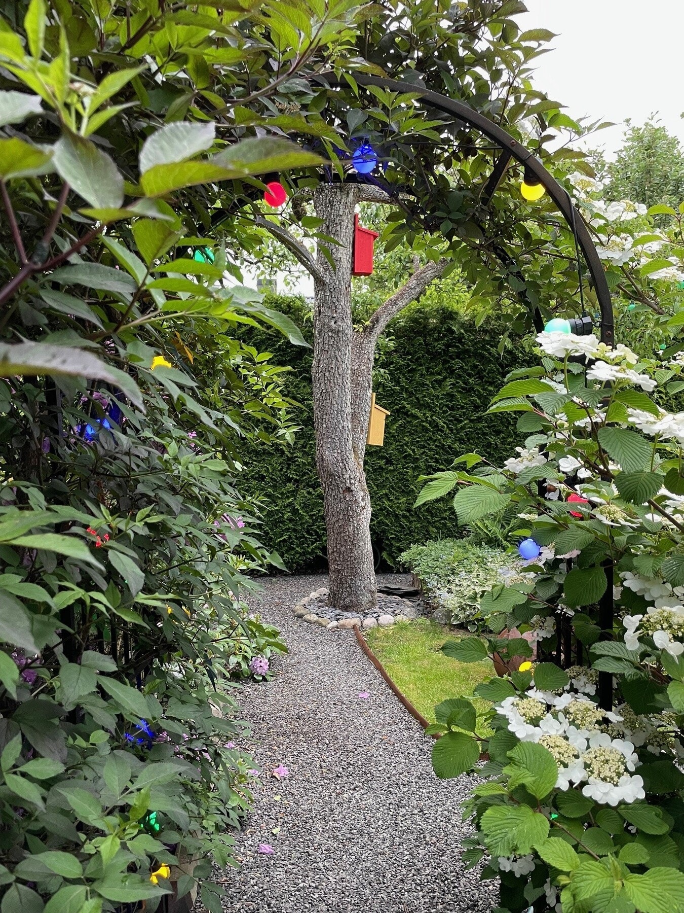 Blomstring i portalen Galleribilde